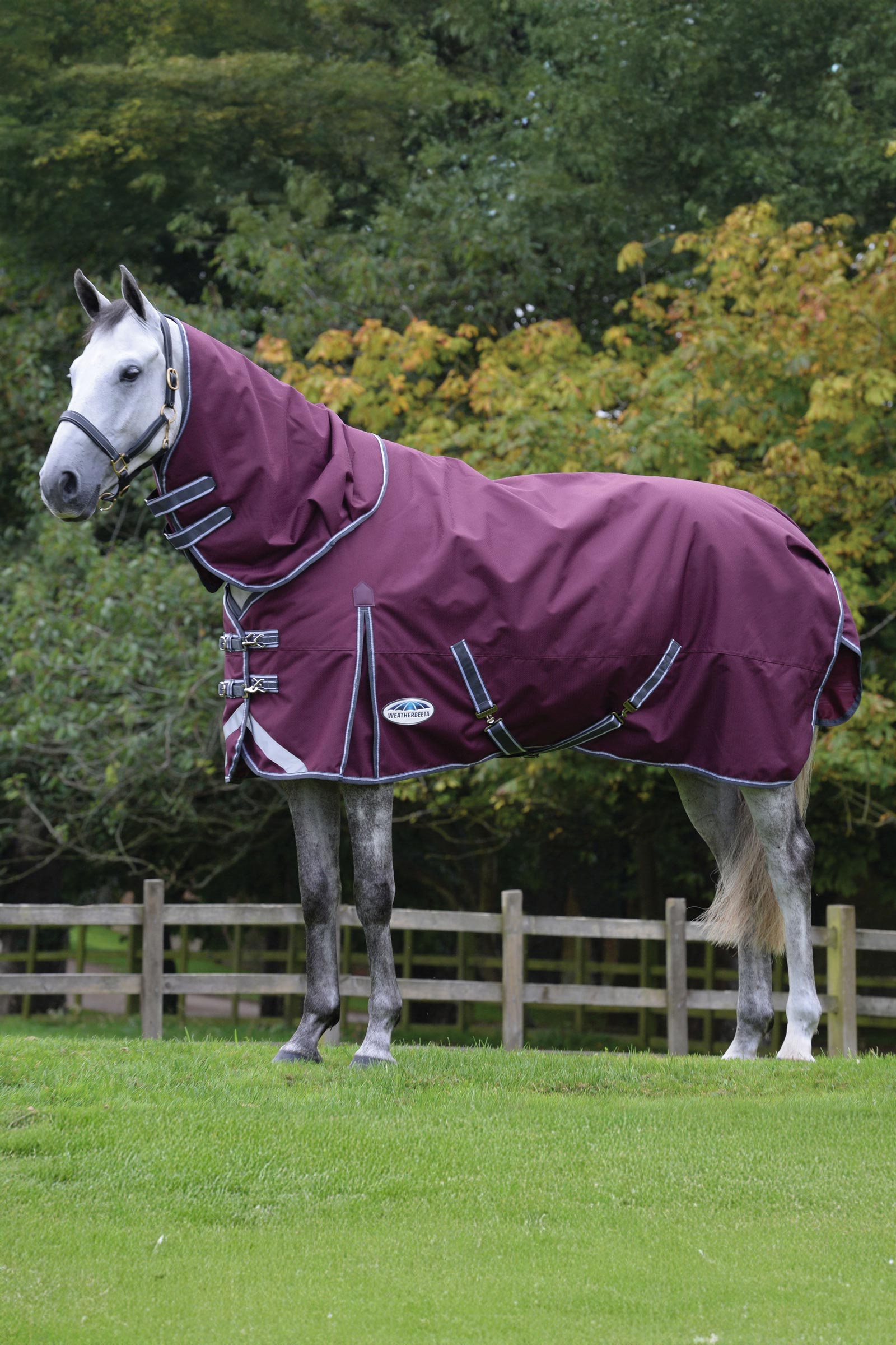 Weatherbeeta Comfitec Plus Dynamic II Turnout Rug With Detachable Neck, 220g