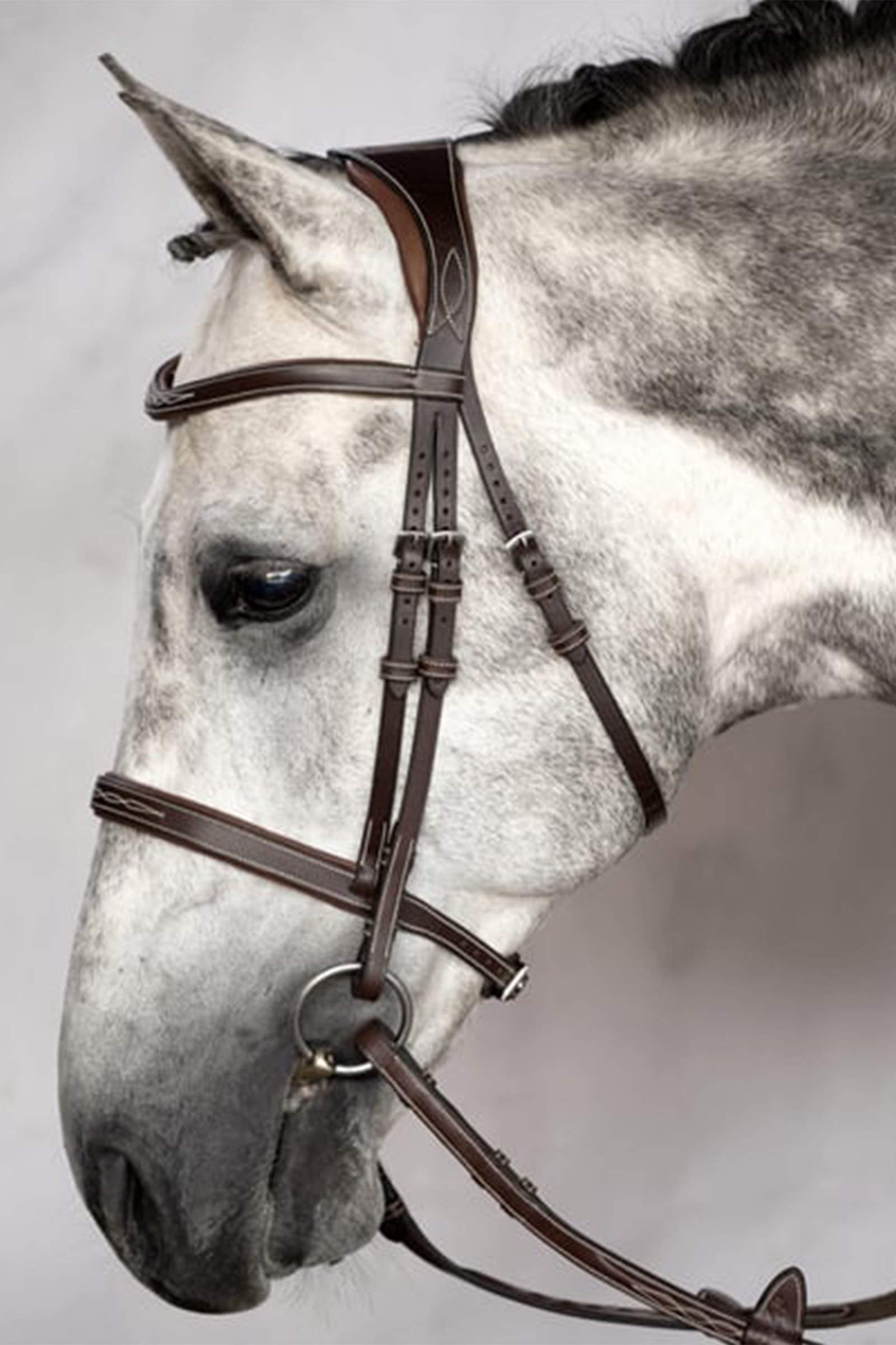 PS of Sweden Bridle Ocala