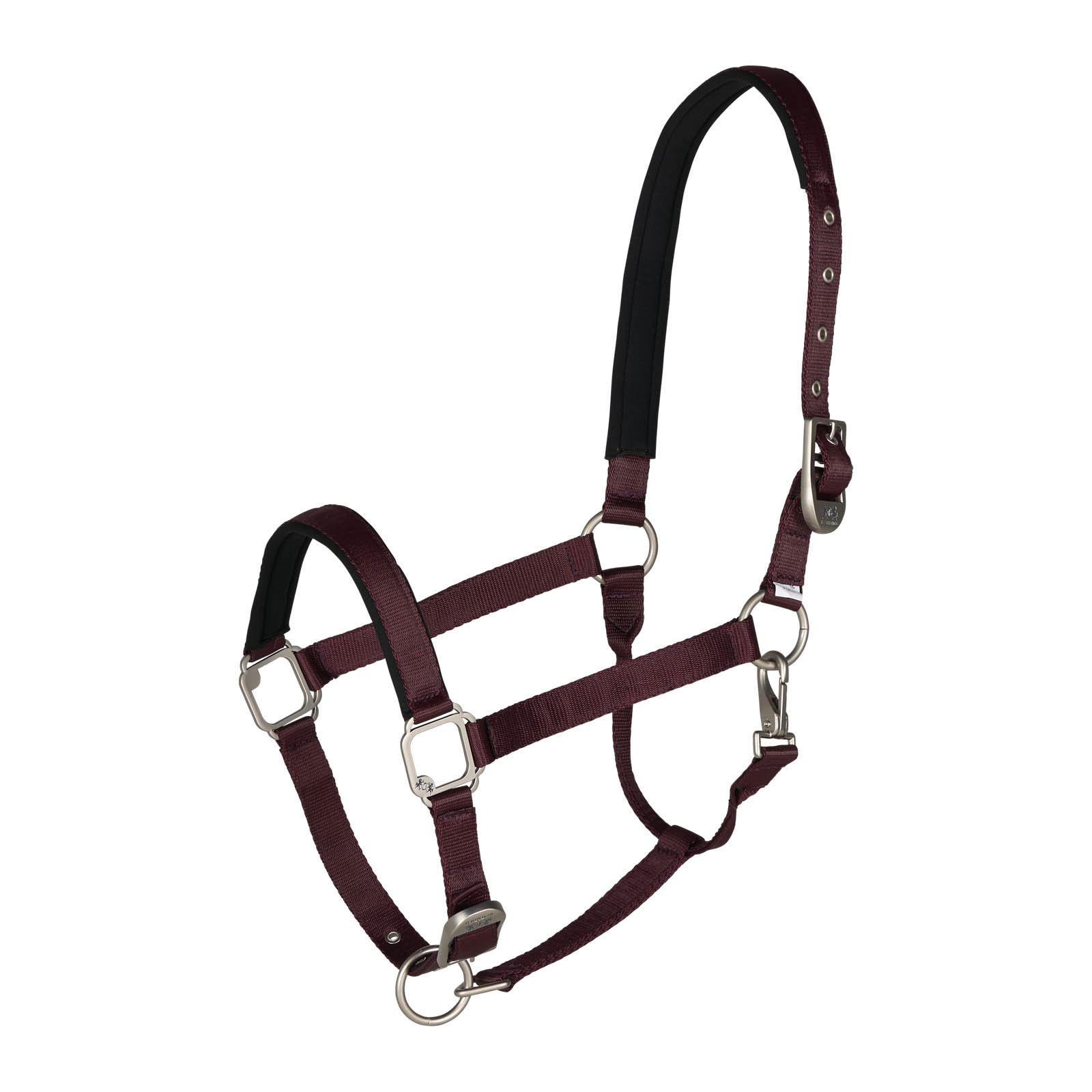 B Vertigo Hardwick Halter