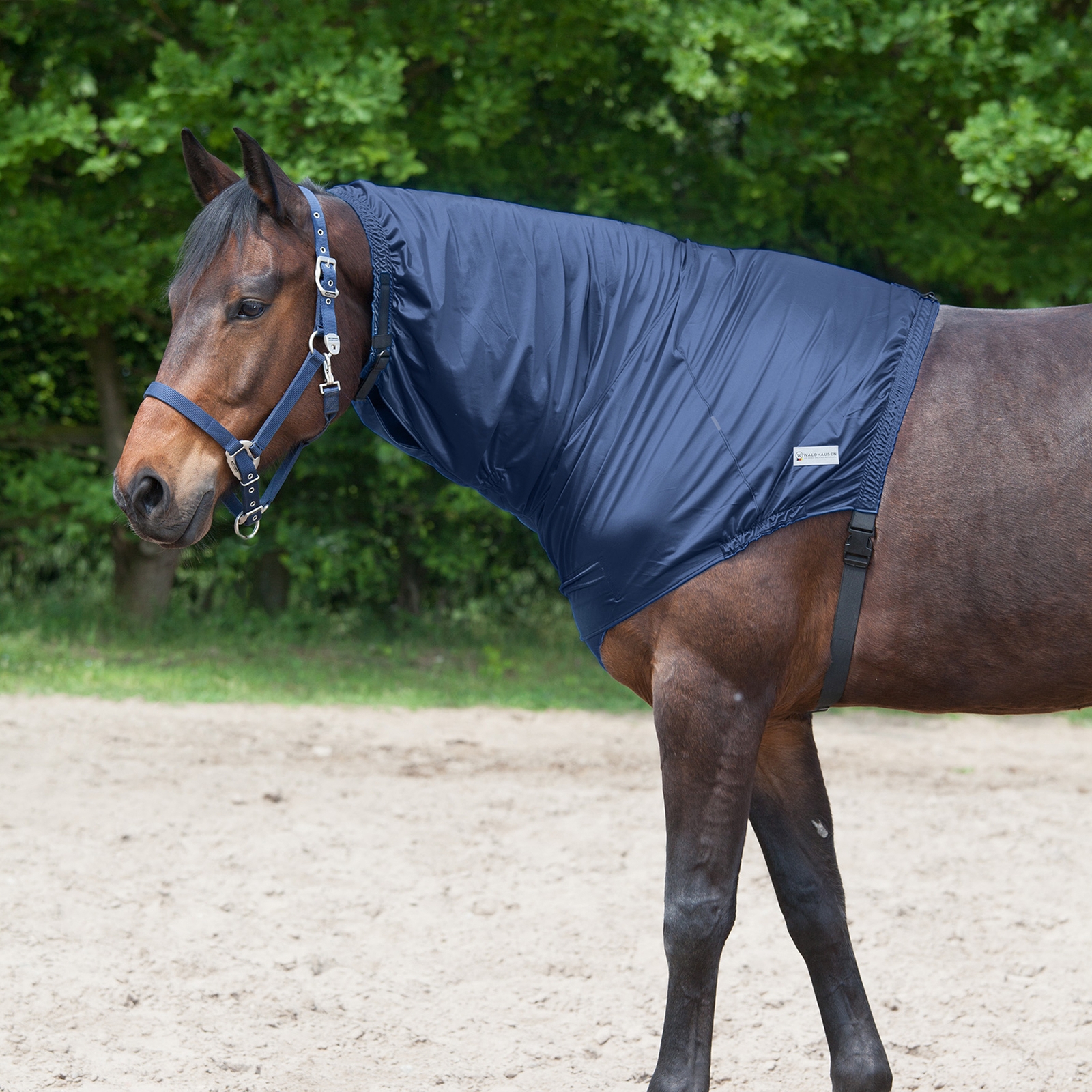 Blue Nights Waldhausen Eczema Neck Piece