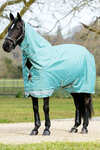 LeMieux Arika 600D Turnout Rug With Detachable Neck, 50g