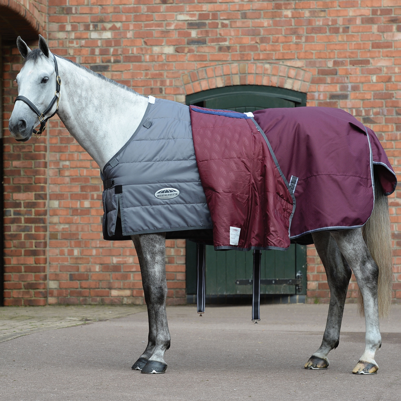 Weatherbeeta Comfitec Plus Dynamic II Turnout Rug, 100g