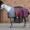 Weatherbeeta Comfitec Plus Dynamic II Turnout Rug, 100g