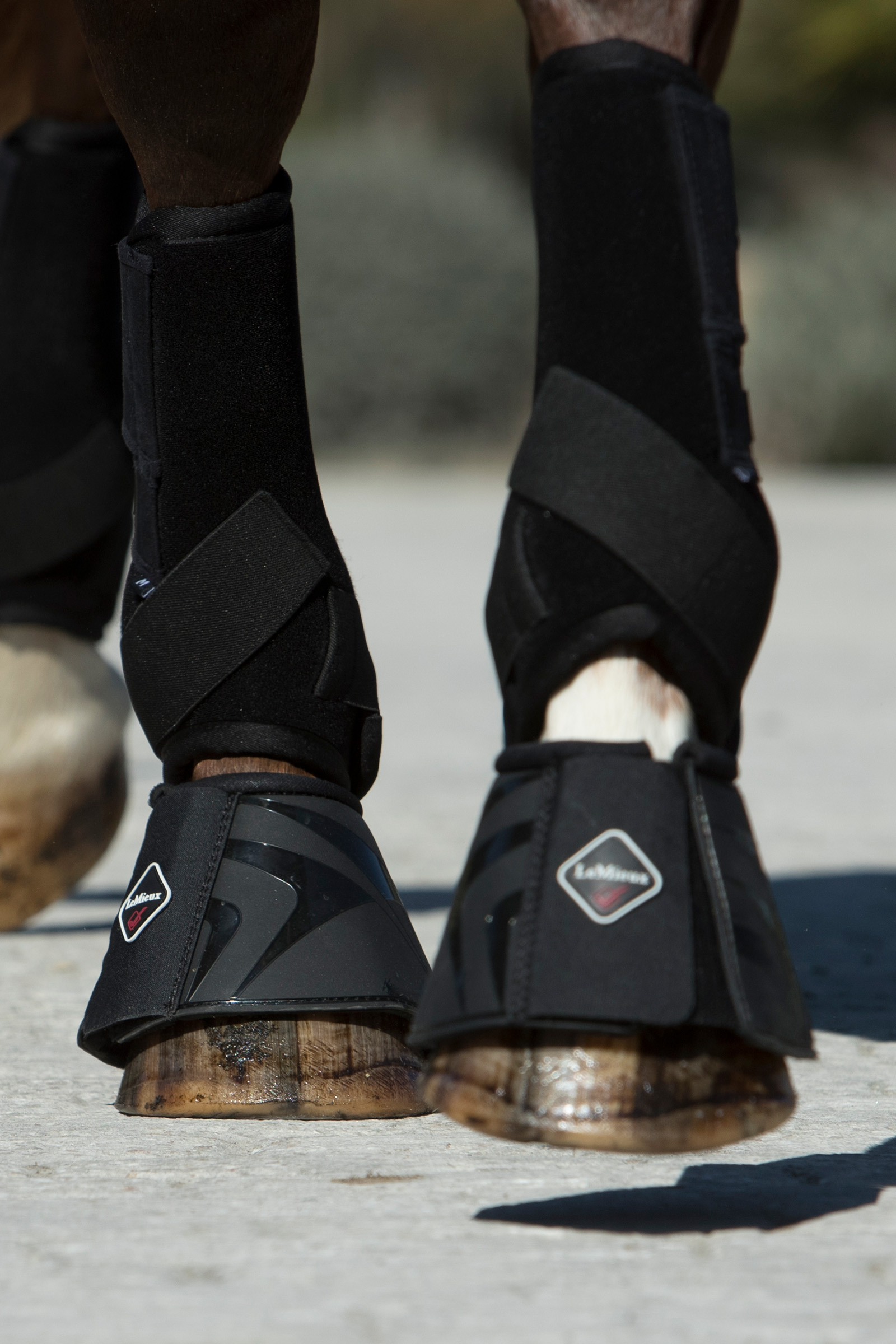 LeMieux Ultra Support Boots