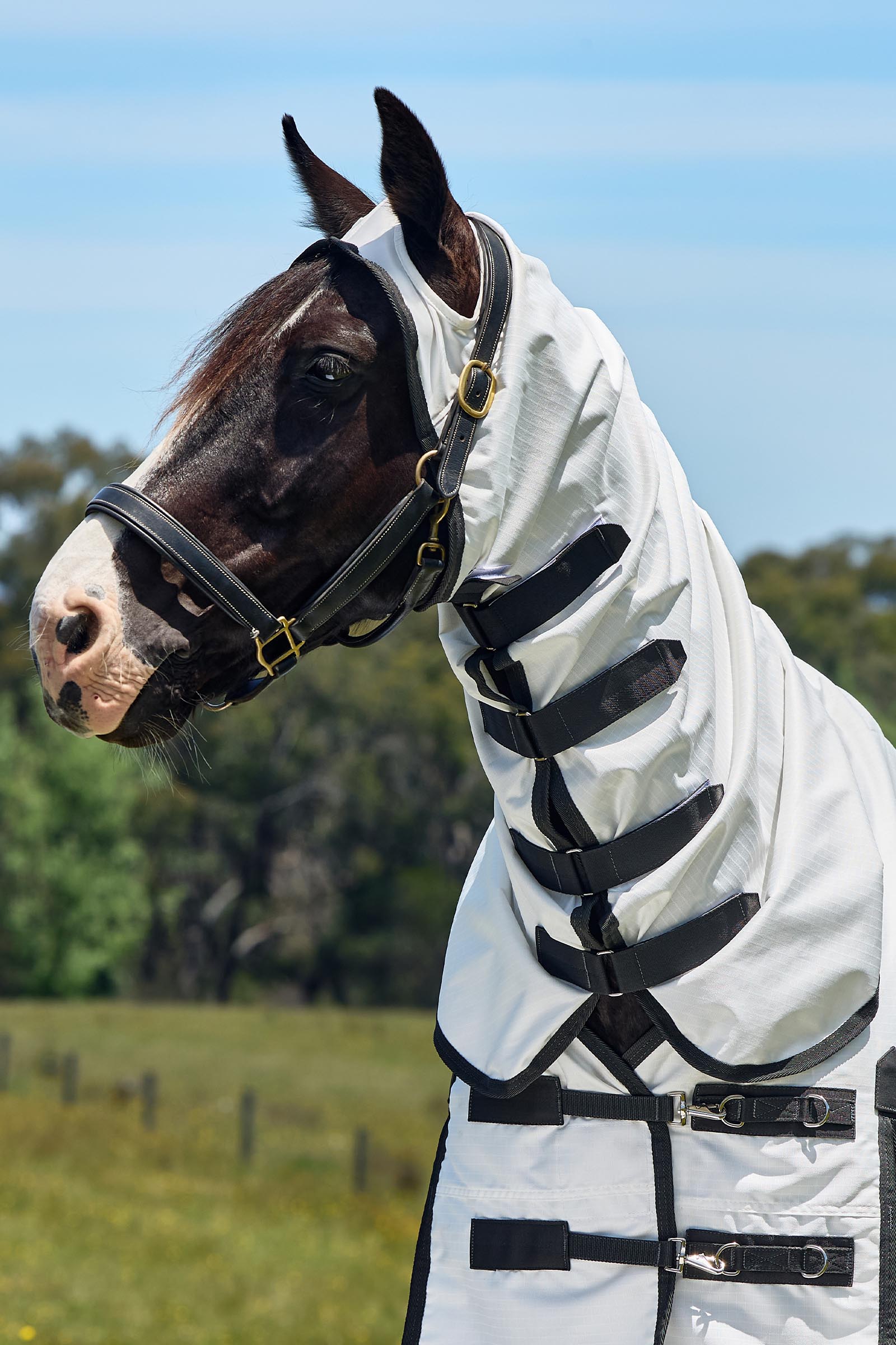 Weatherbeeta Comfitec Sweet Itch Shield Fly Sheet Combo W. Fixed Neck, 0g