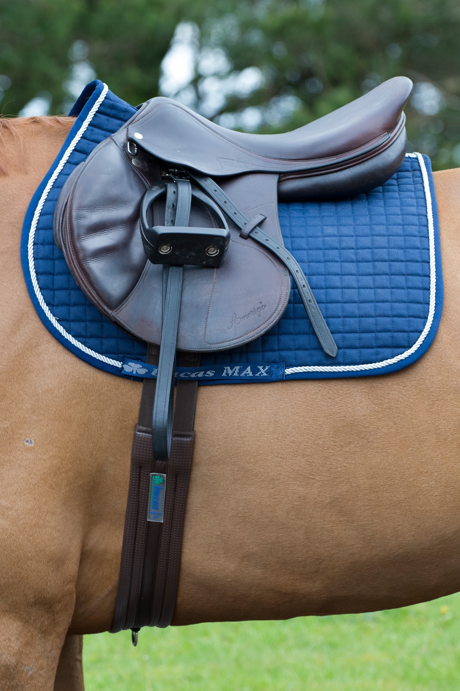 Dark Blue/Silver Bucas Max Saddle Pad Jumping/AP