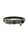 Kentucky Dogwear Plaited Nylon Dog Collar
