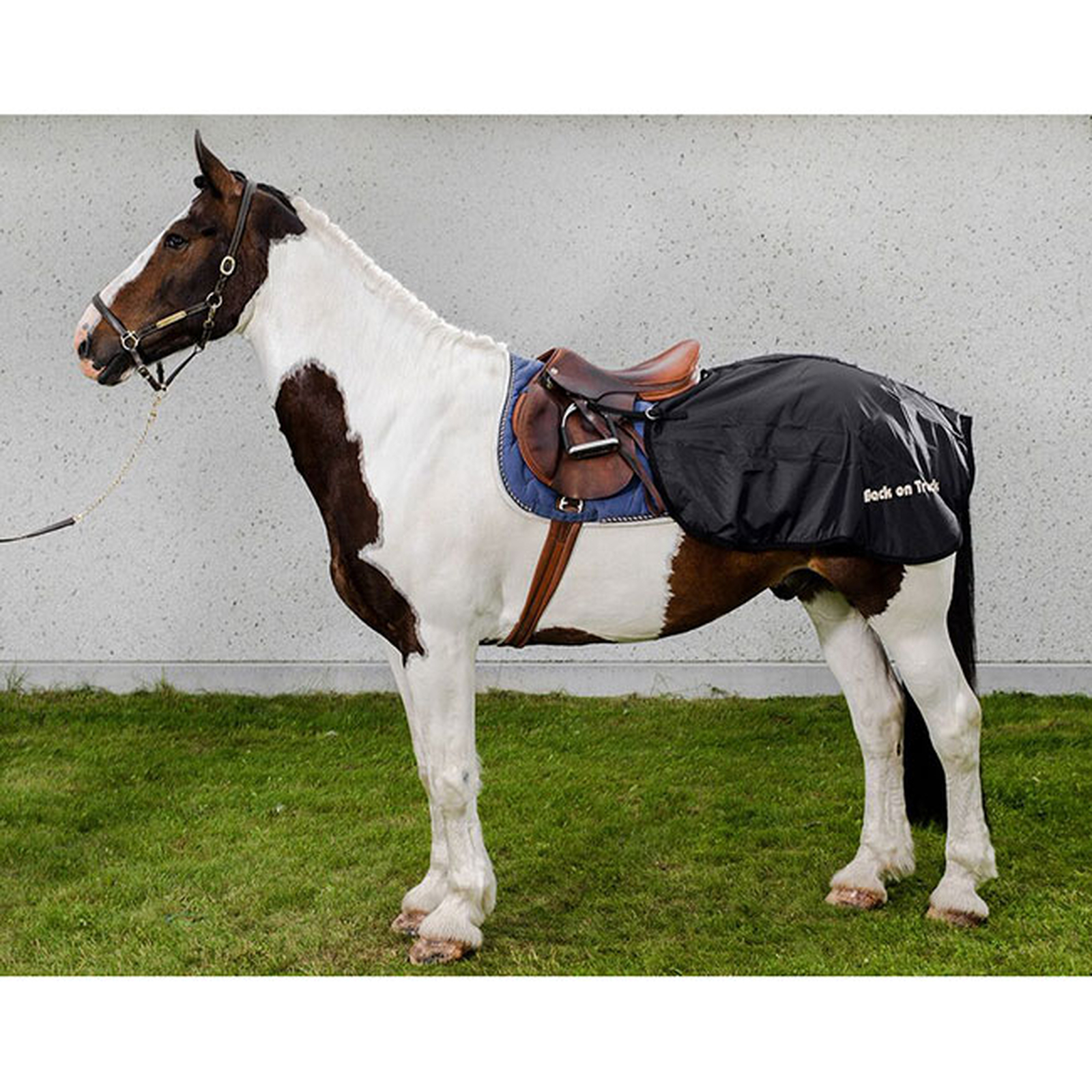 Back on Track Exercise Sheet