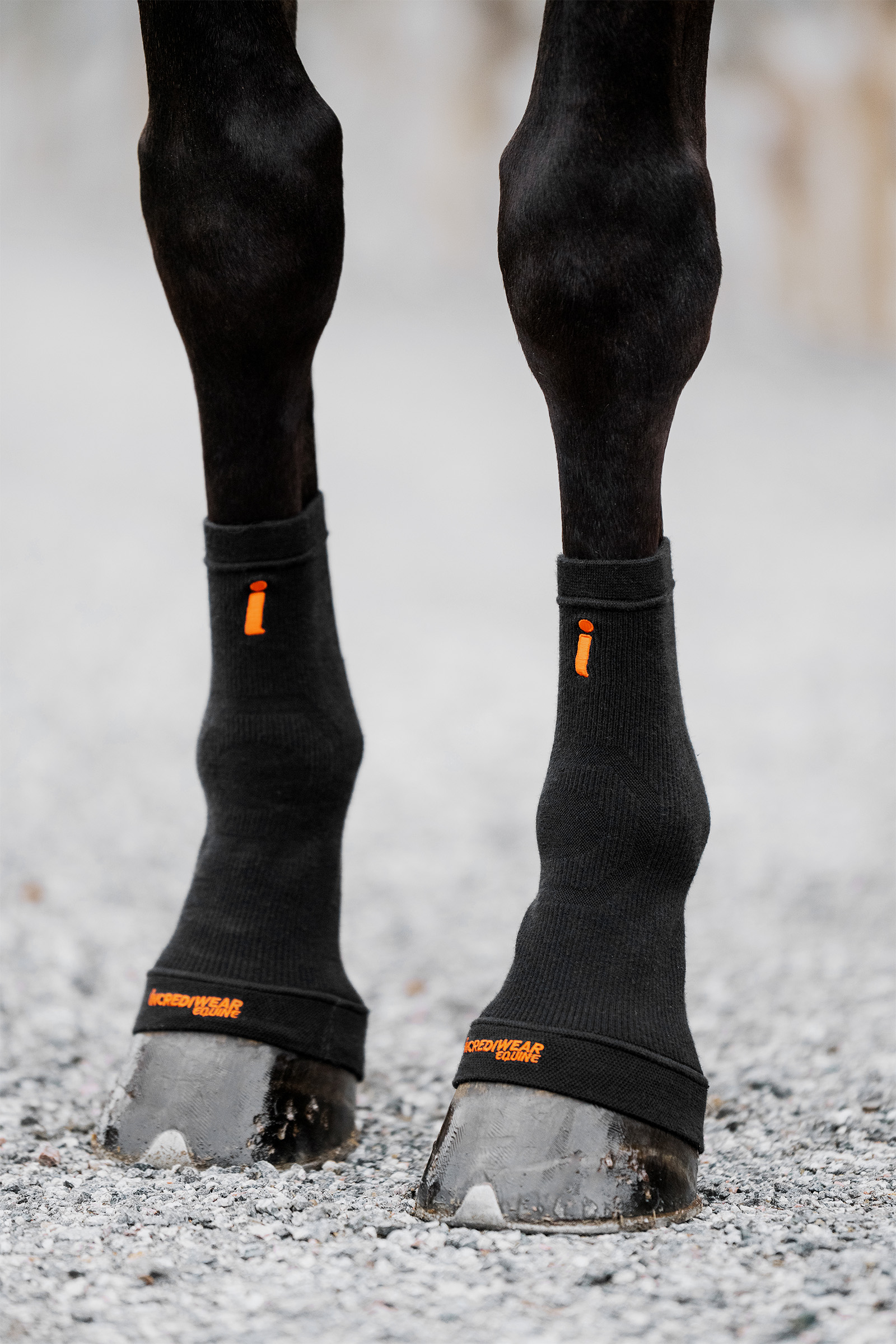Black Incrediwear Equine Hoof Socks