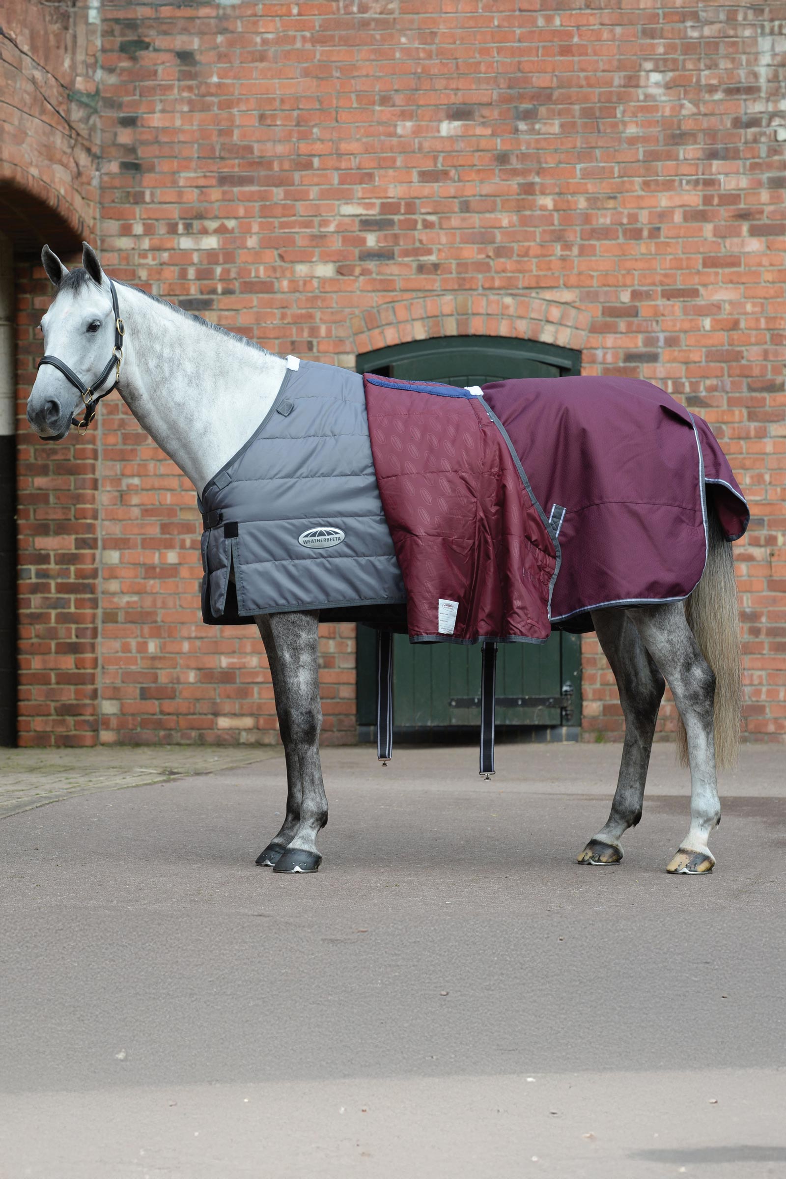 Weatherbeeta Comfitec Plus Dynamic II Turnout Rug With Detachable Neck, 100g