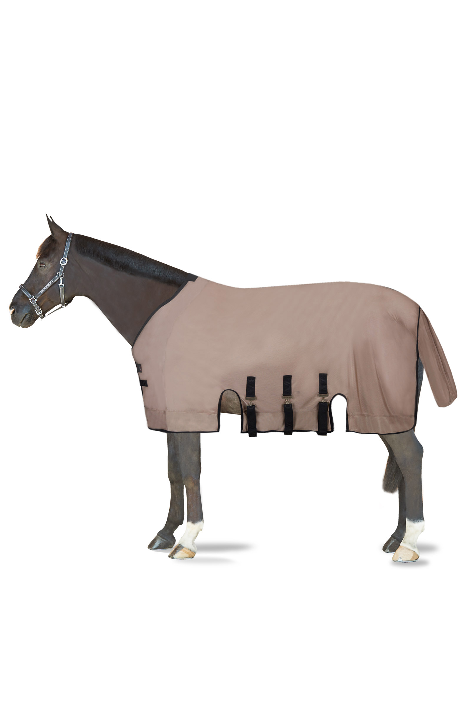 B Vertigo Delux Fly Rug with Detachable Neck and UV Protection