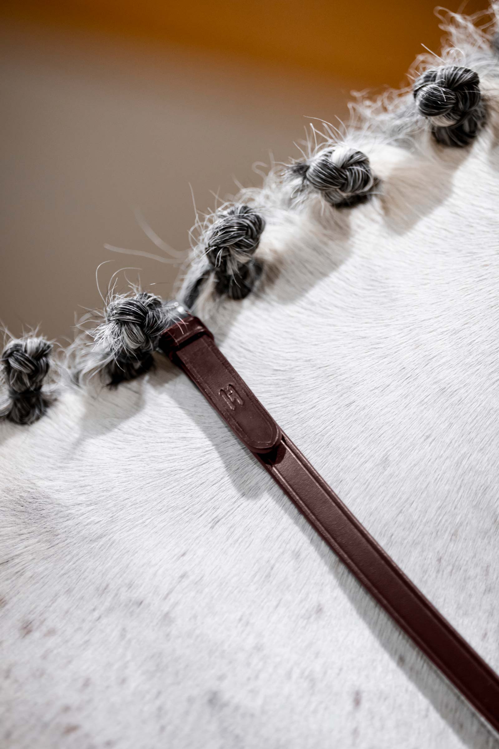 Brown Horseware Curb Reins