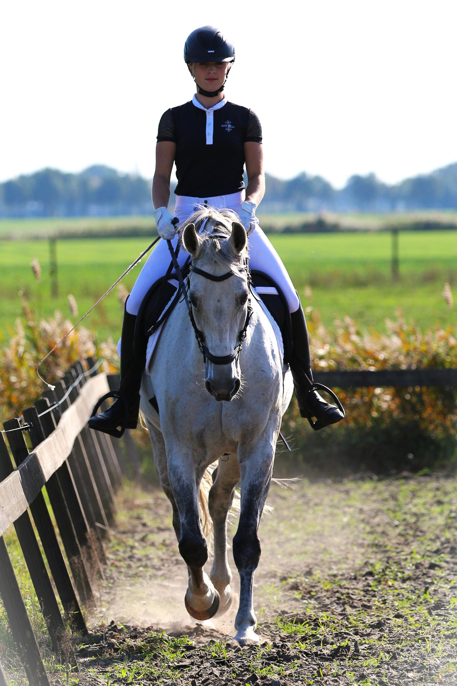 F.R.A. Freedom Riding Articles Calli Hackamore Bridle With Reins (System 2)