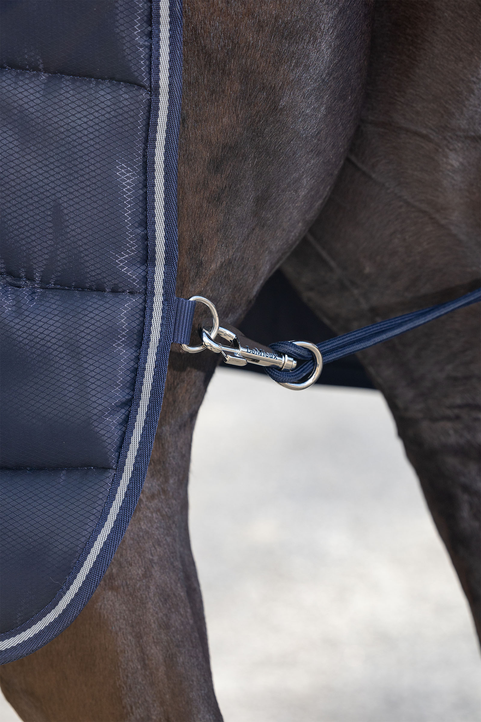 LeMieux Arika Stable-Tek 100g