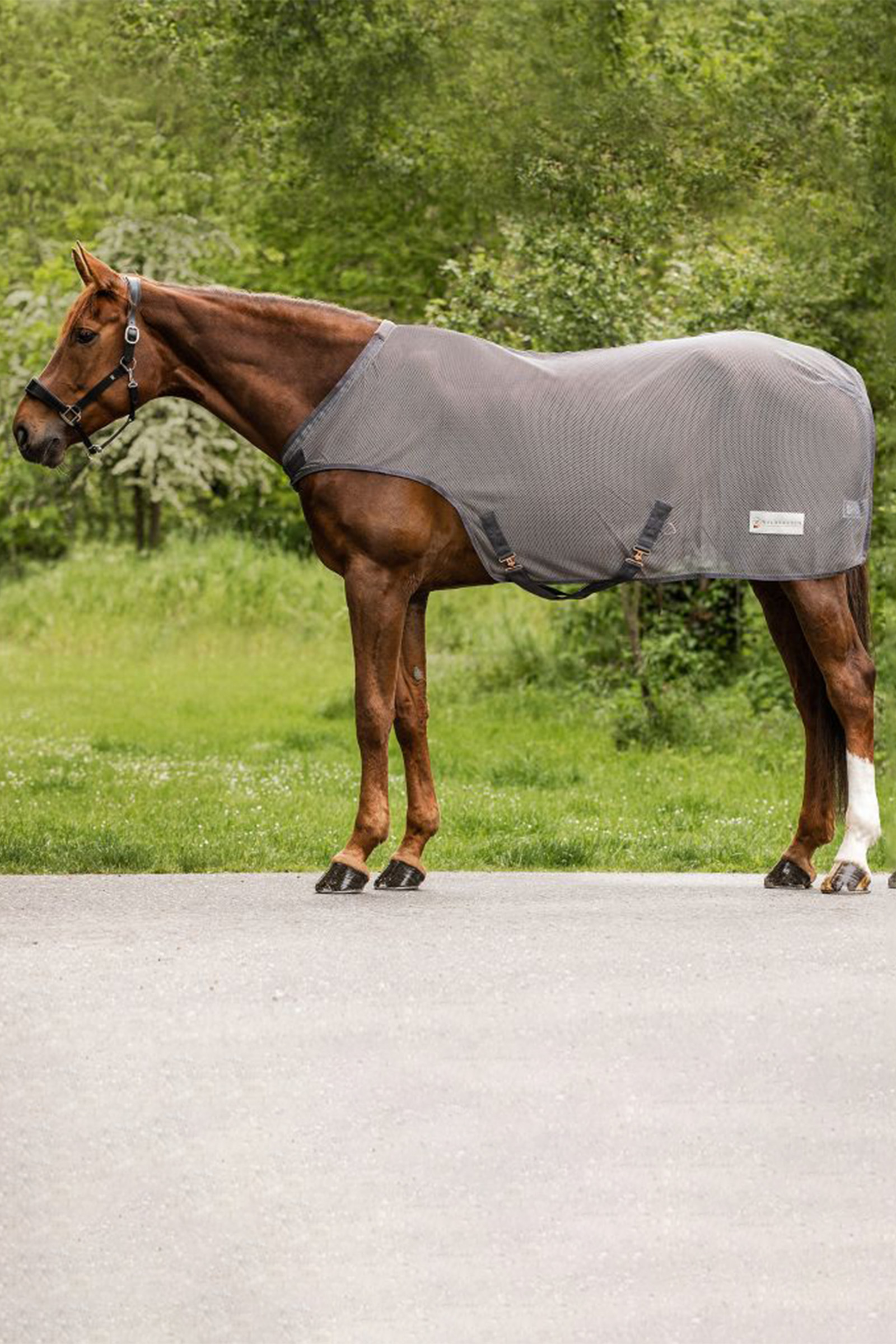 grey Waldhausen Comfort Fly-Horse Walker Rug