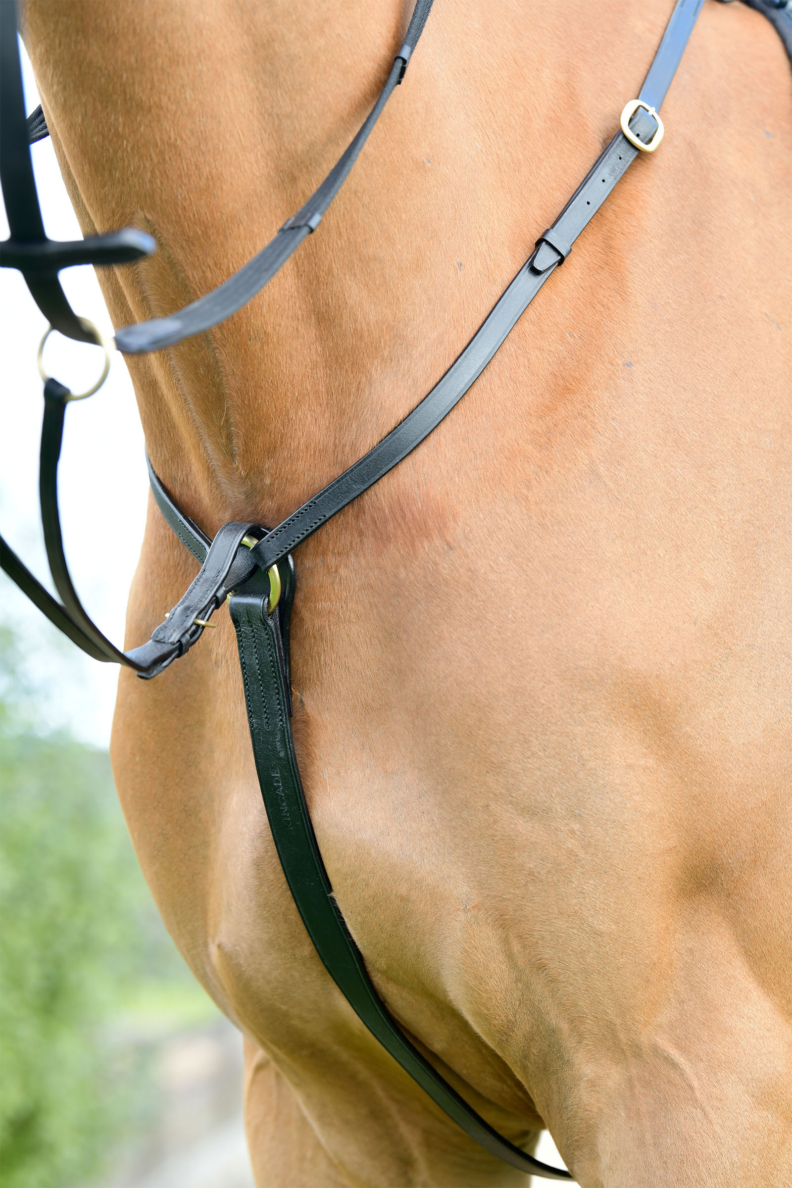 Kincade Classic 3 Point Breastplate With Running Martingale