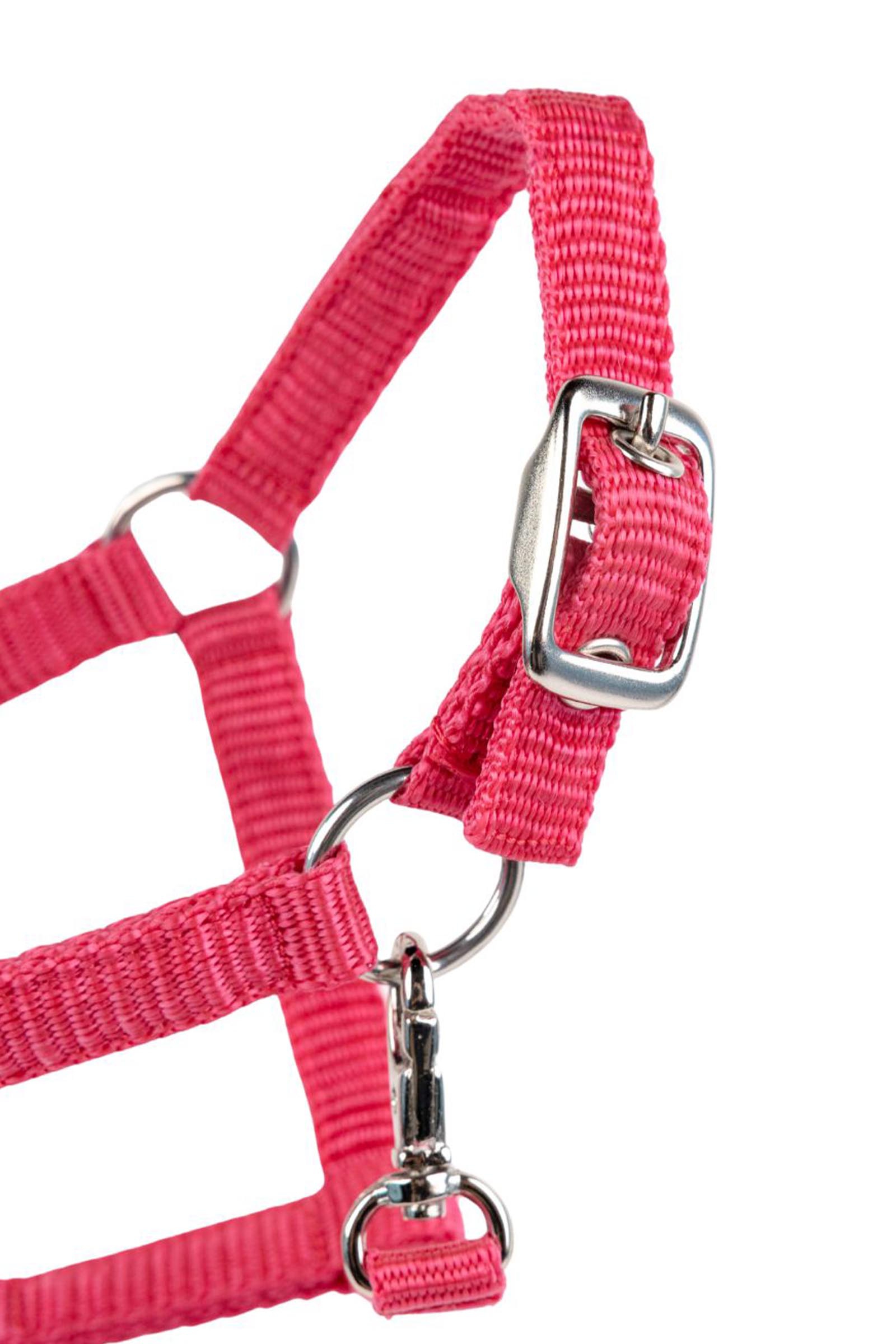 My Hobby Horse Nylon Halter