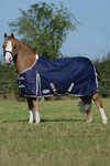 Weatherbeeta Comfitec Essential Plus Turnout Rug, 50g