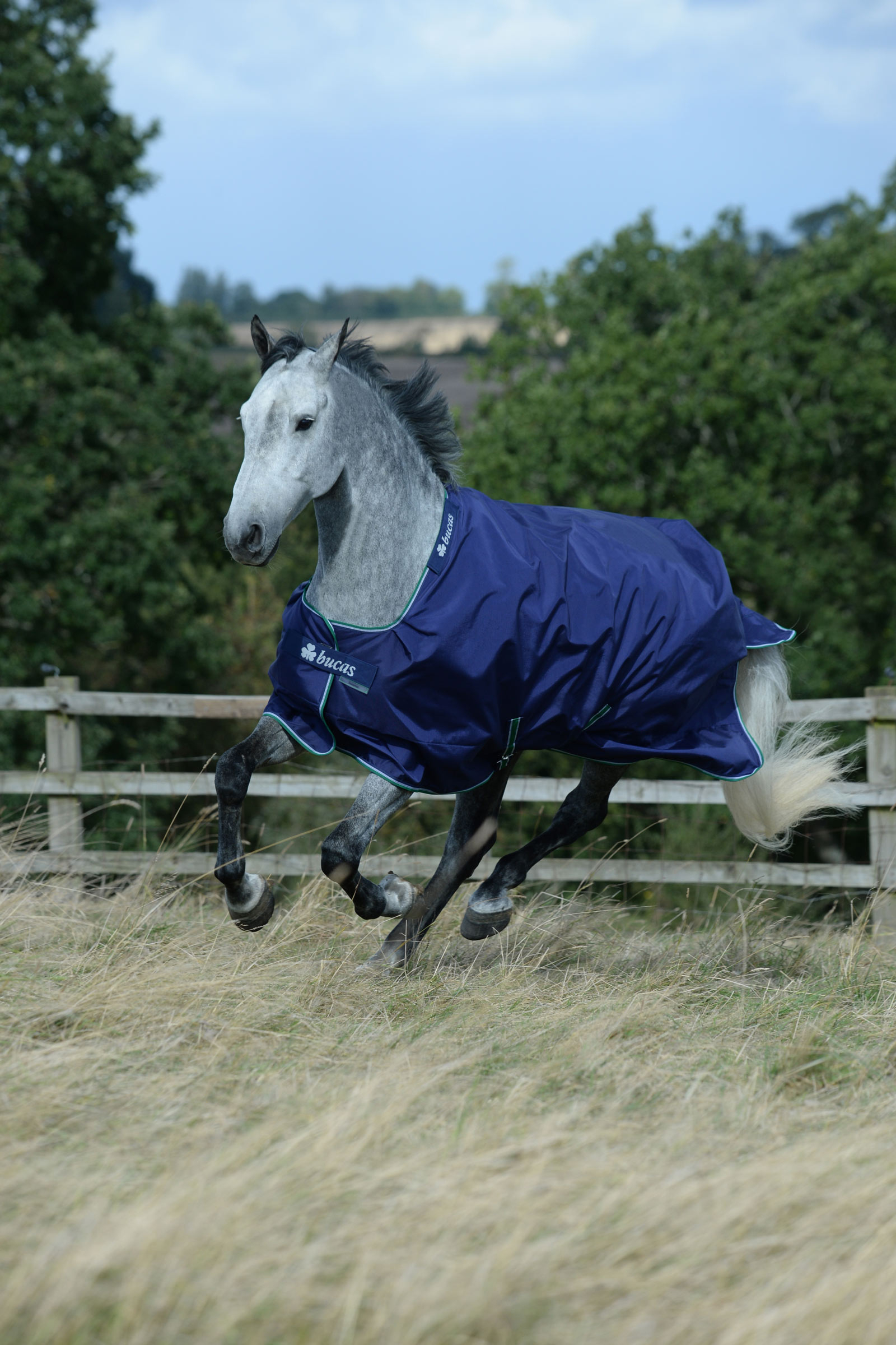 Bucas Smartex Medium Turnout Rug, 150g