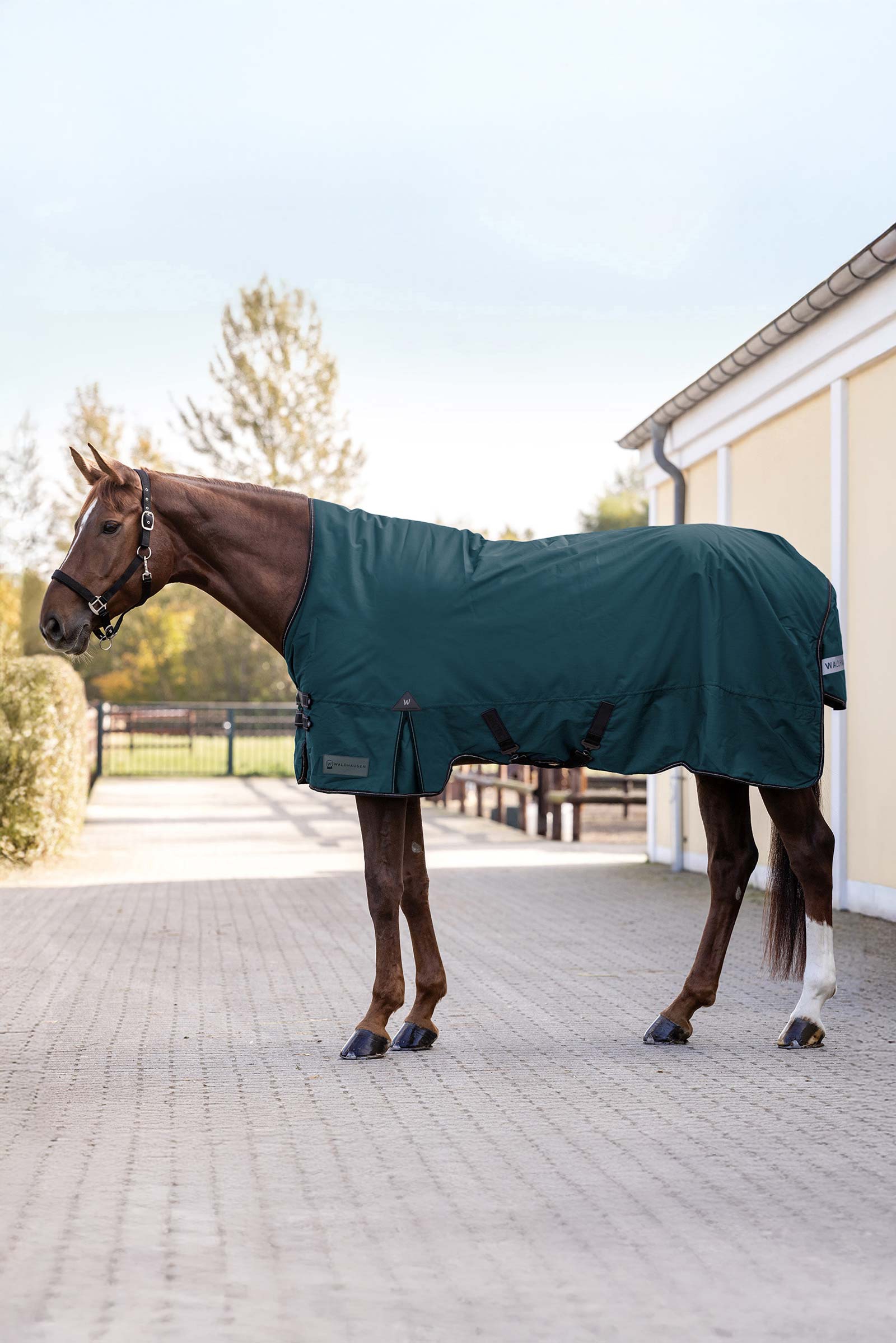 Petrol Blue Waldhausen Arctic Turnout Rug, 50 g