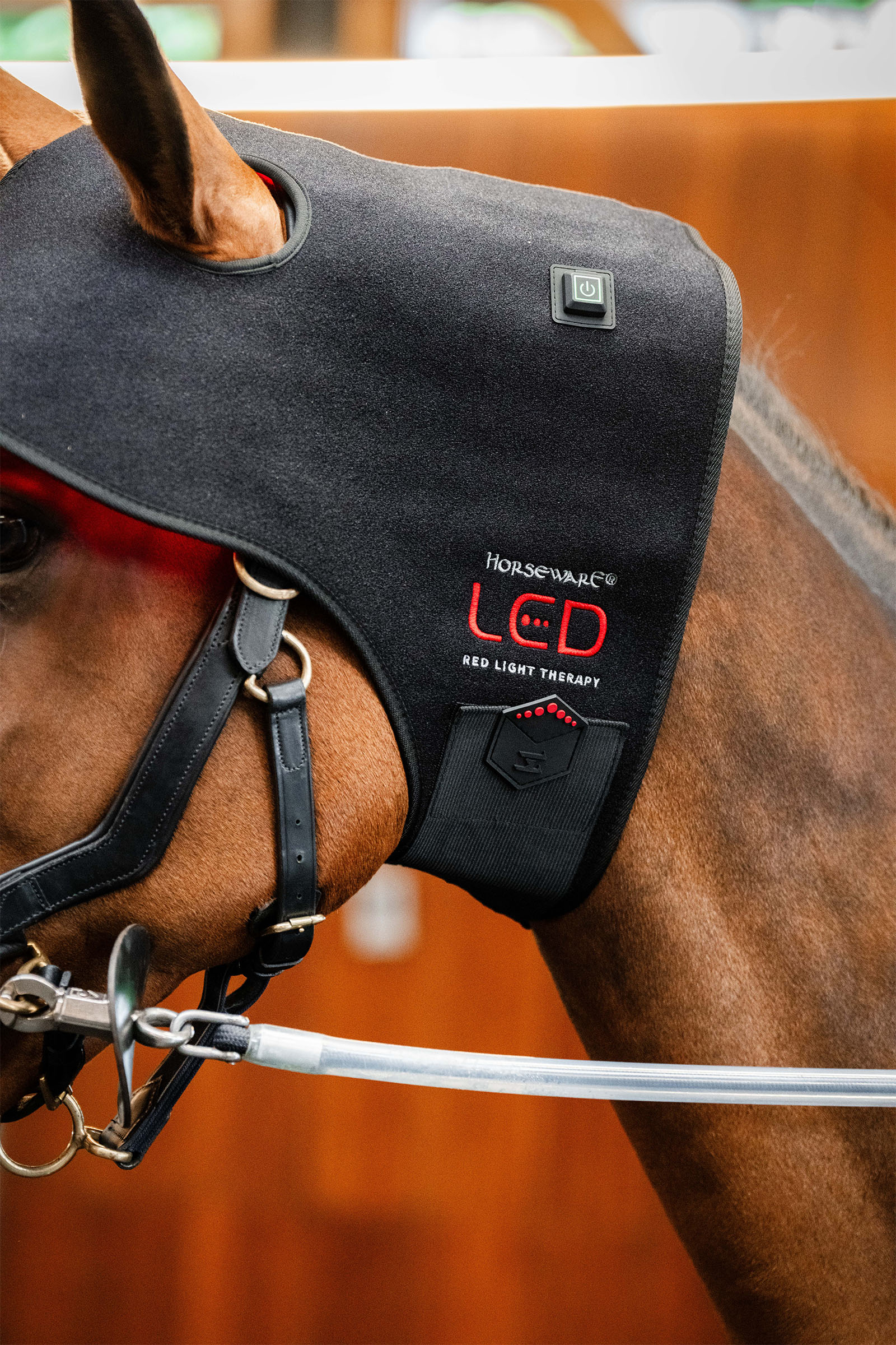 Horseware LED Red Light Therapy Poll Cap