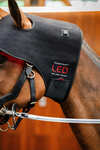 Horseware LED Red Light Therapy Poll Cap