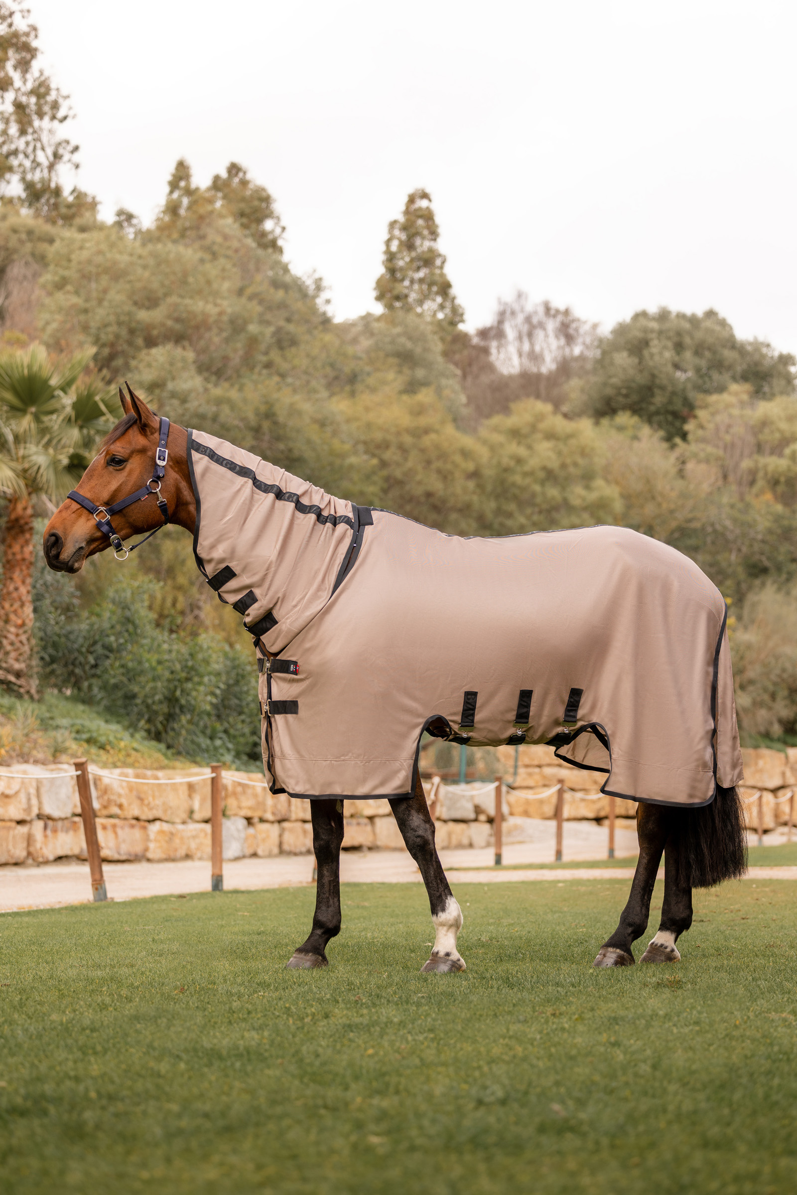 B Vertigo Delux Fly Rug with Detachable Neck and UV Protection