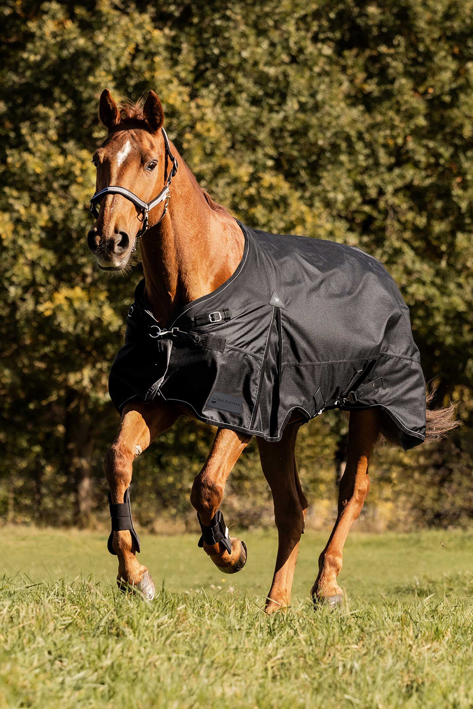 Waldhausen Scandic Turnout Rug, 200 g