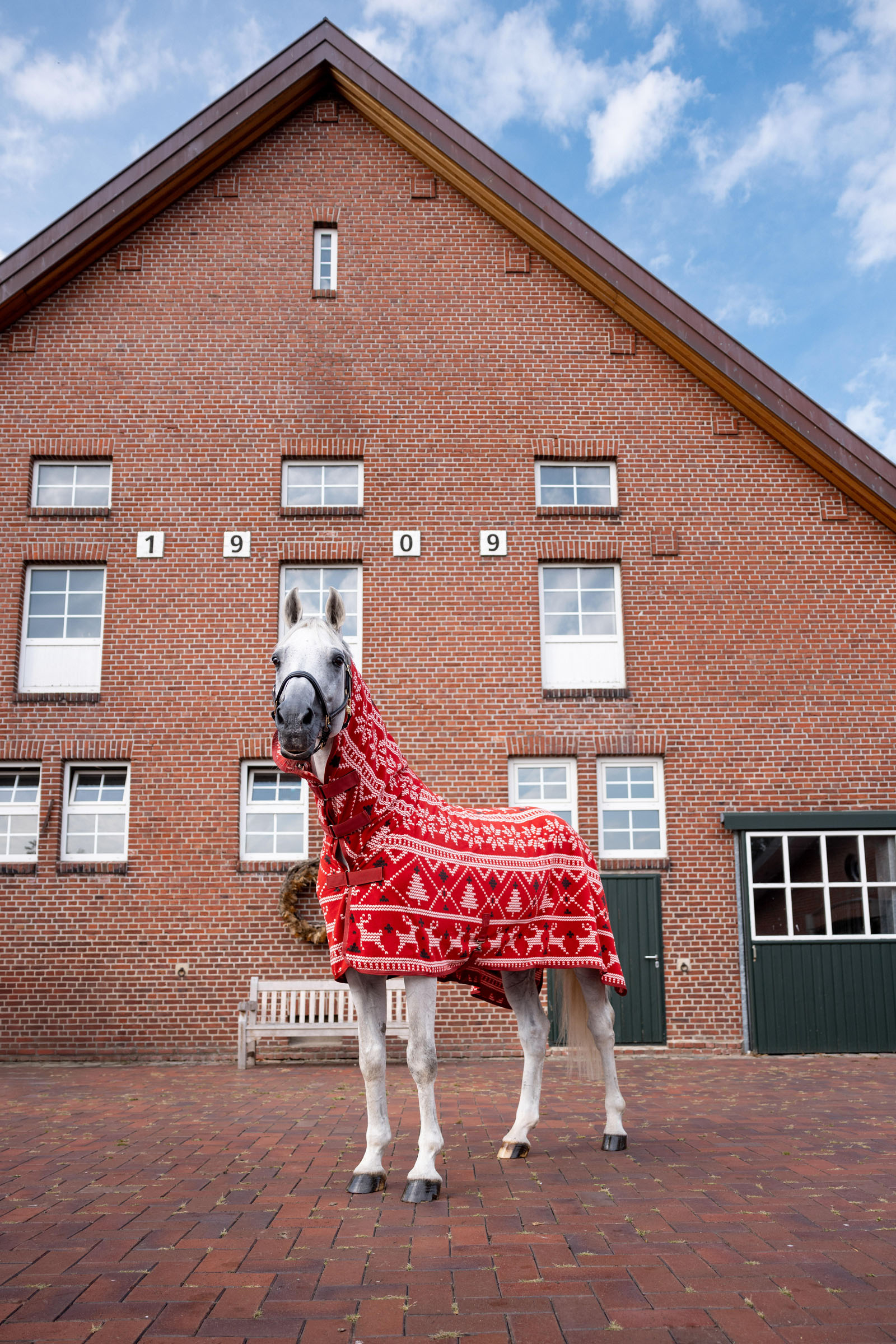Horze Christmas Horse Sweater