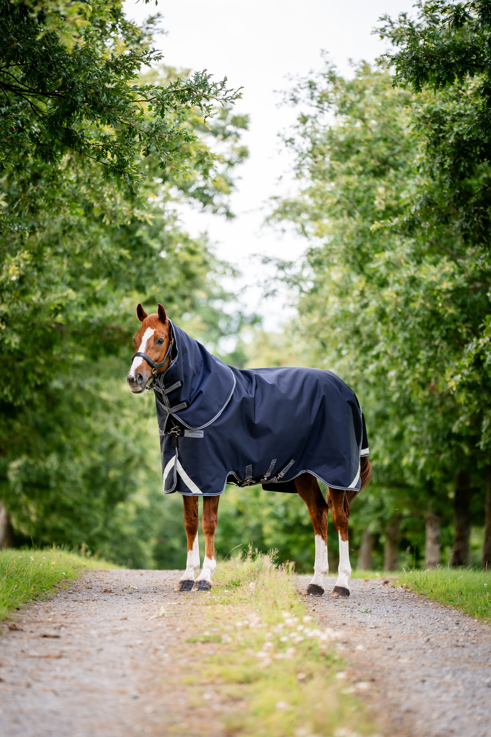 Horseware Rambo 1680D Plus Vario Layer Turnout Rug, 250 g