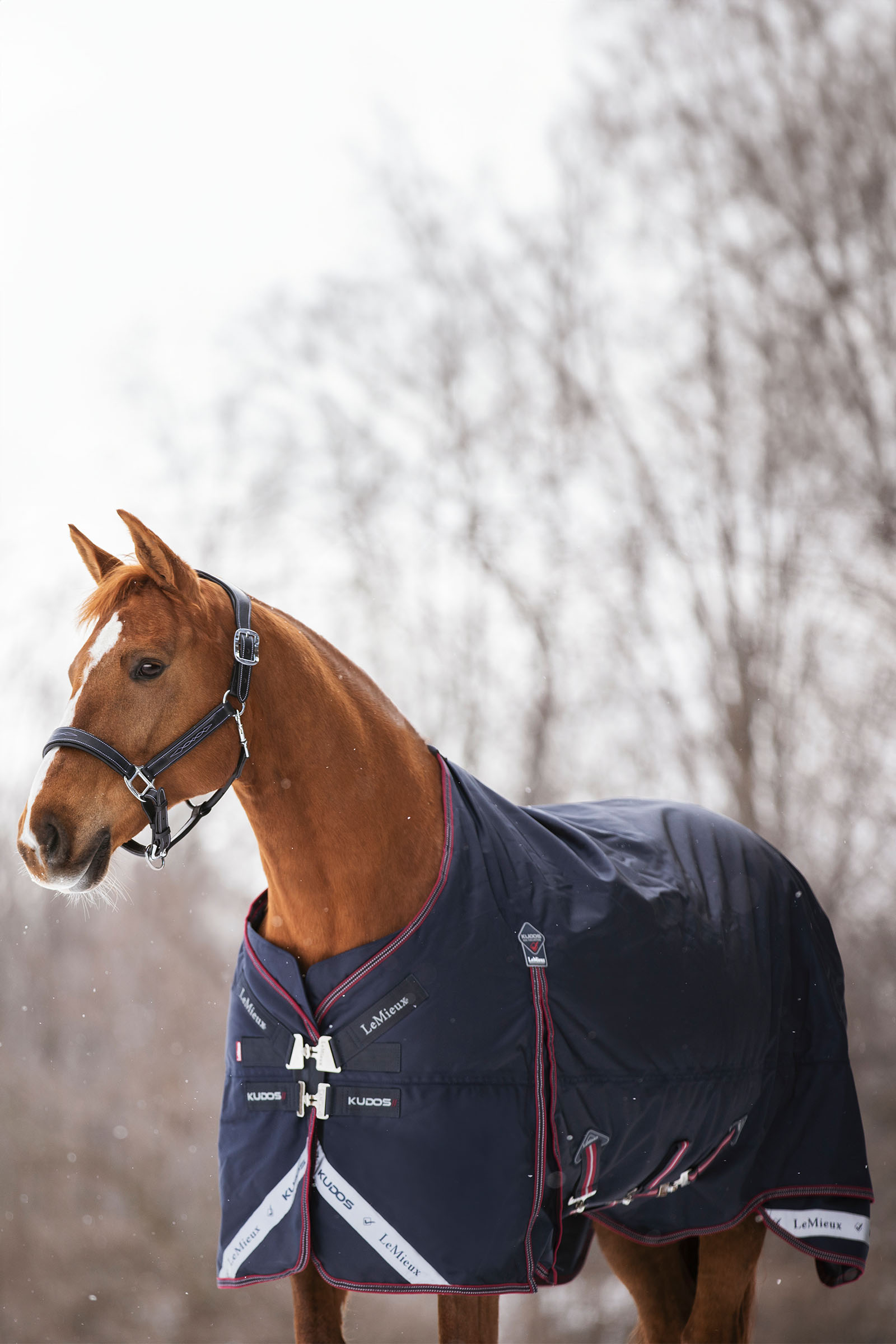 LeMieux Kudos Turnout Rug 350g