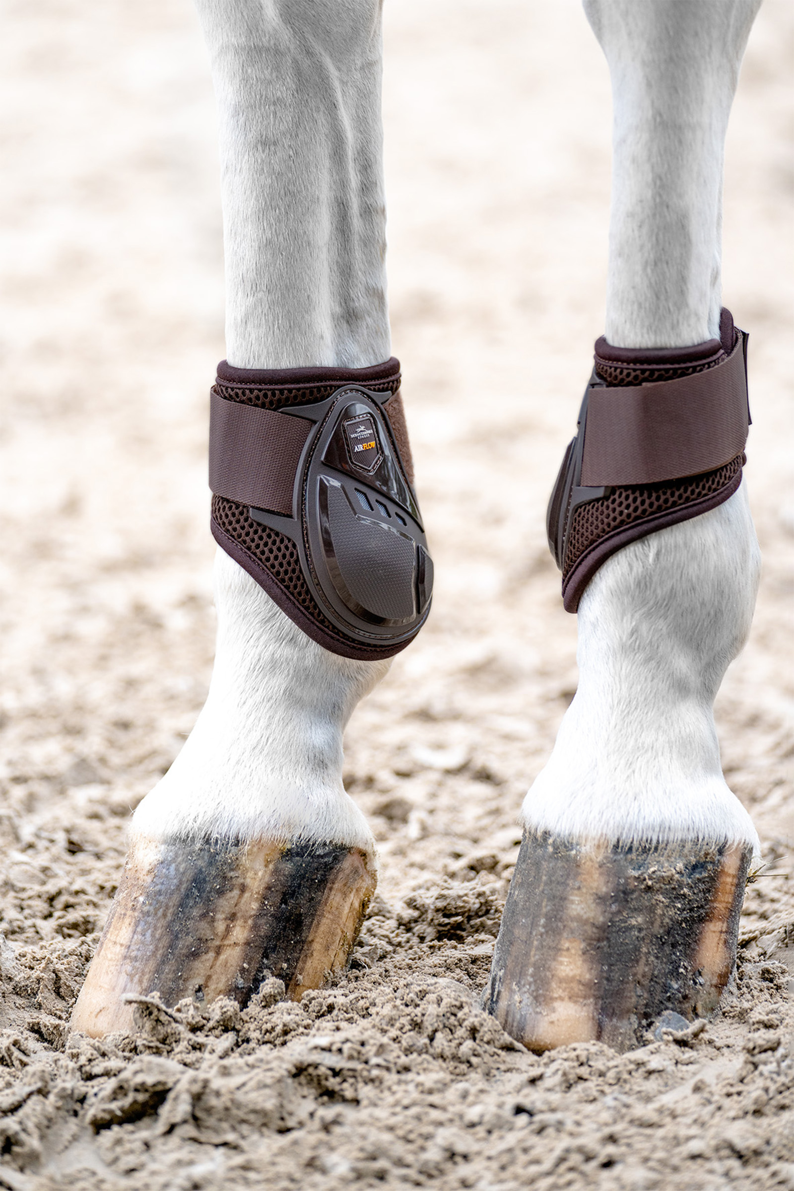 Schockem&ouml;hle Sports Air Flow Champion Fetlock Boots