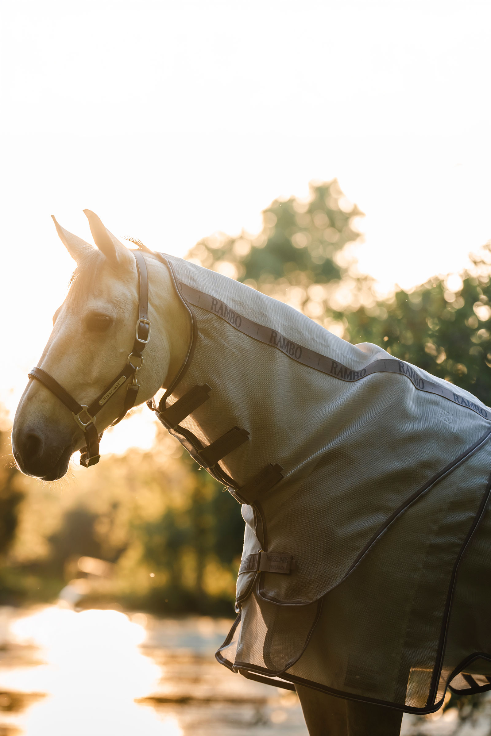 Horseware Rambo Optimo Protector Plus Rug