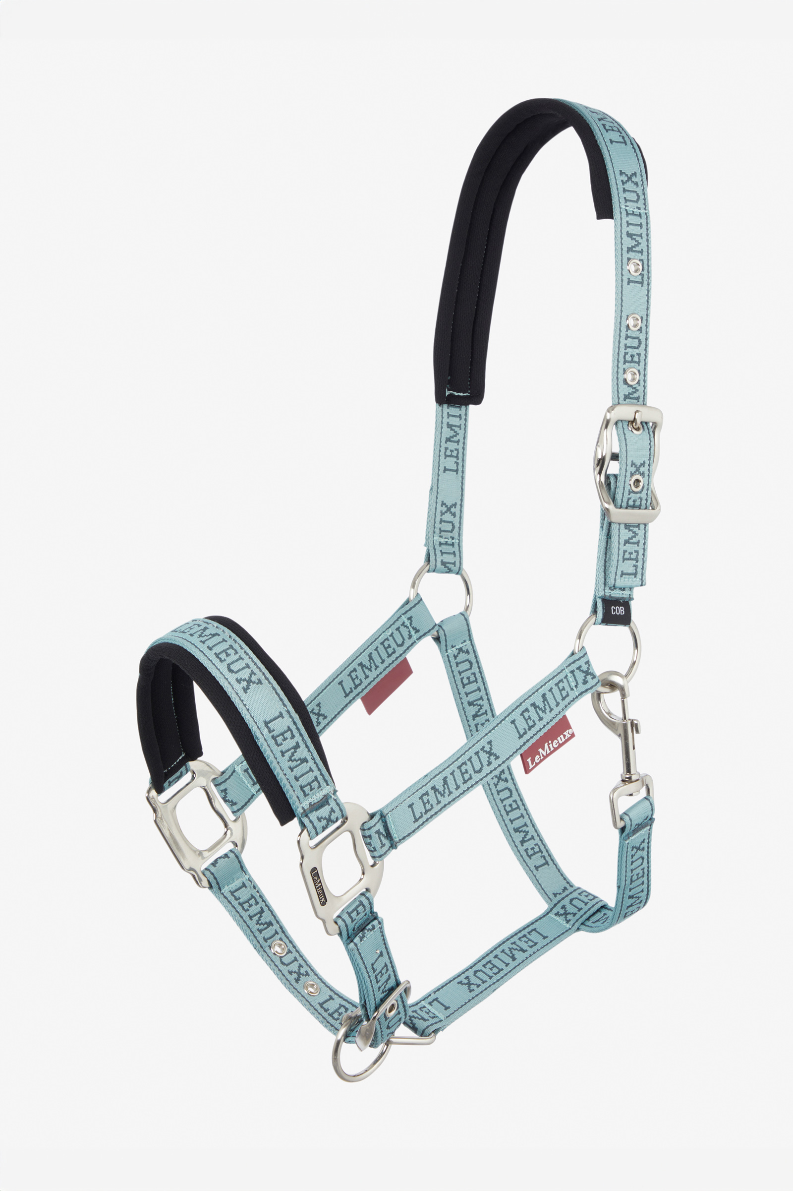 Glacier LeMieux Logo Headcollar