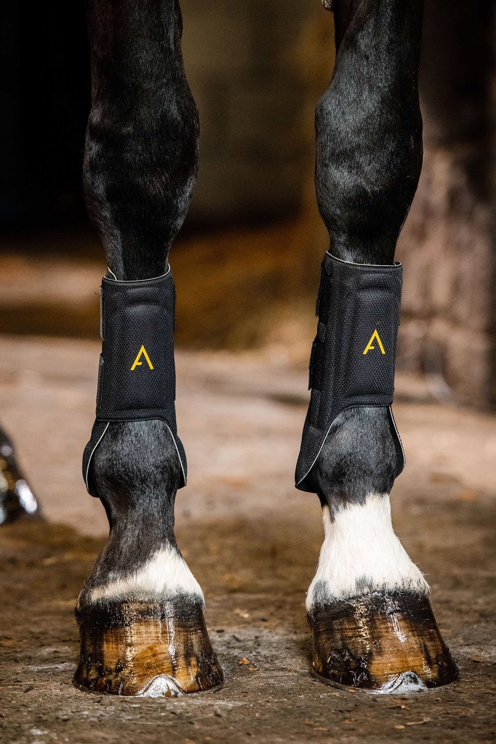 Horseware Adagio Boot