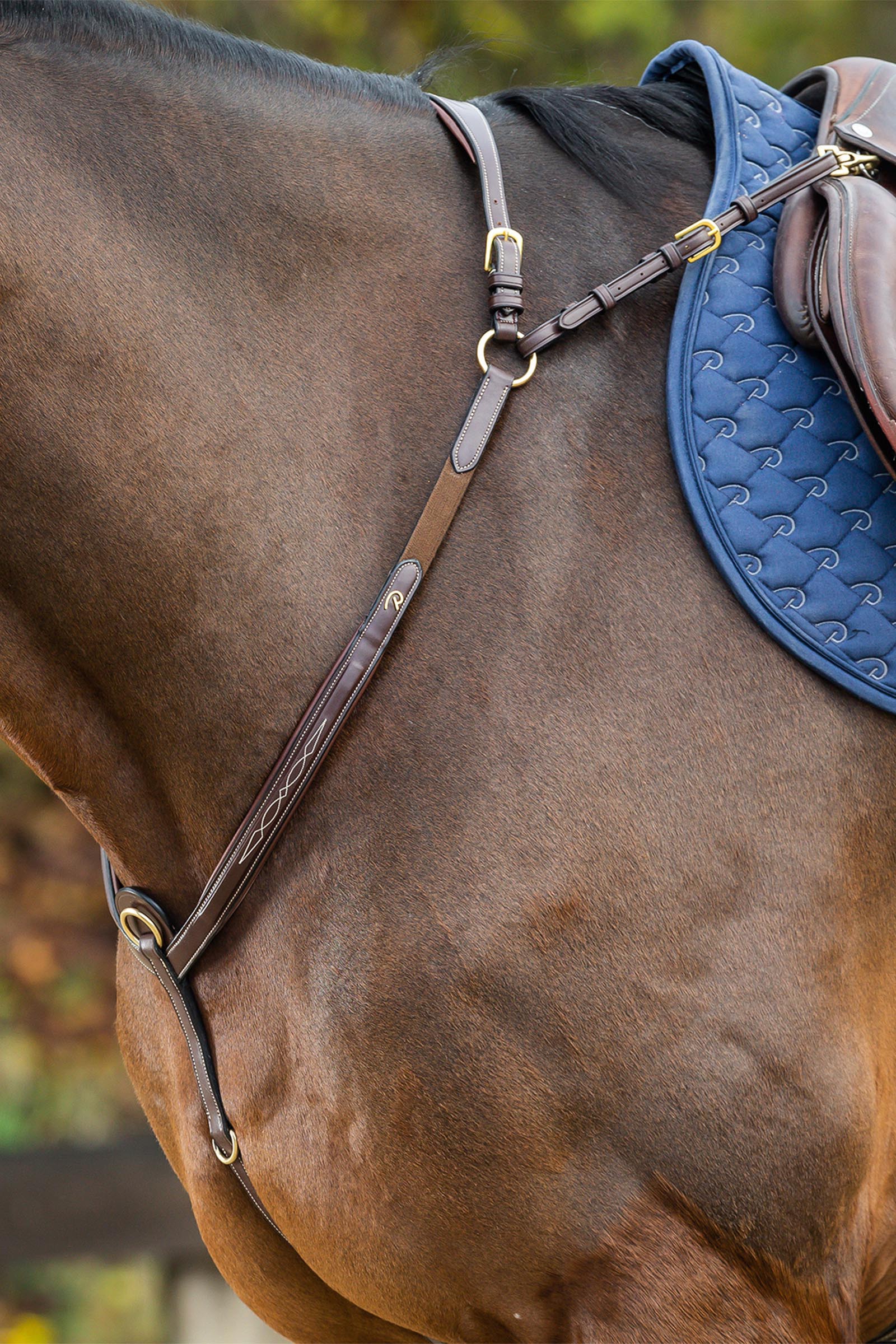 Dy'on D Collection Bridge Breastplate 