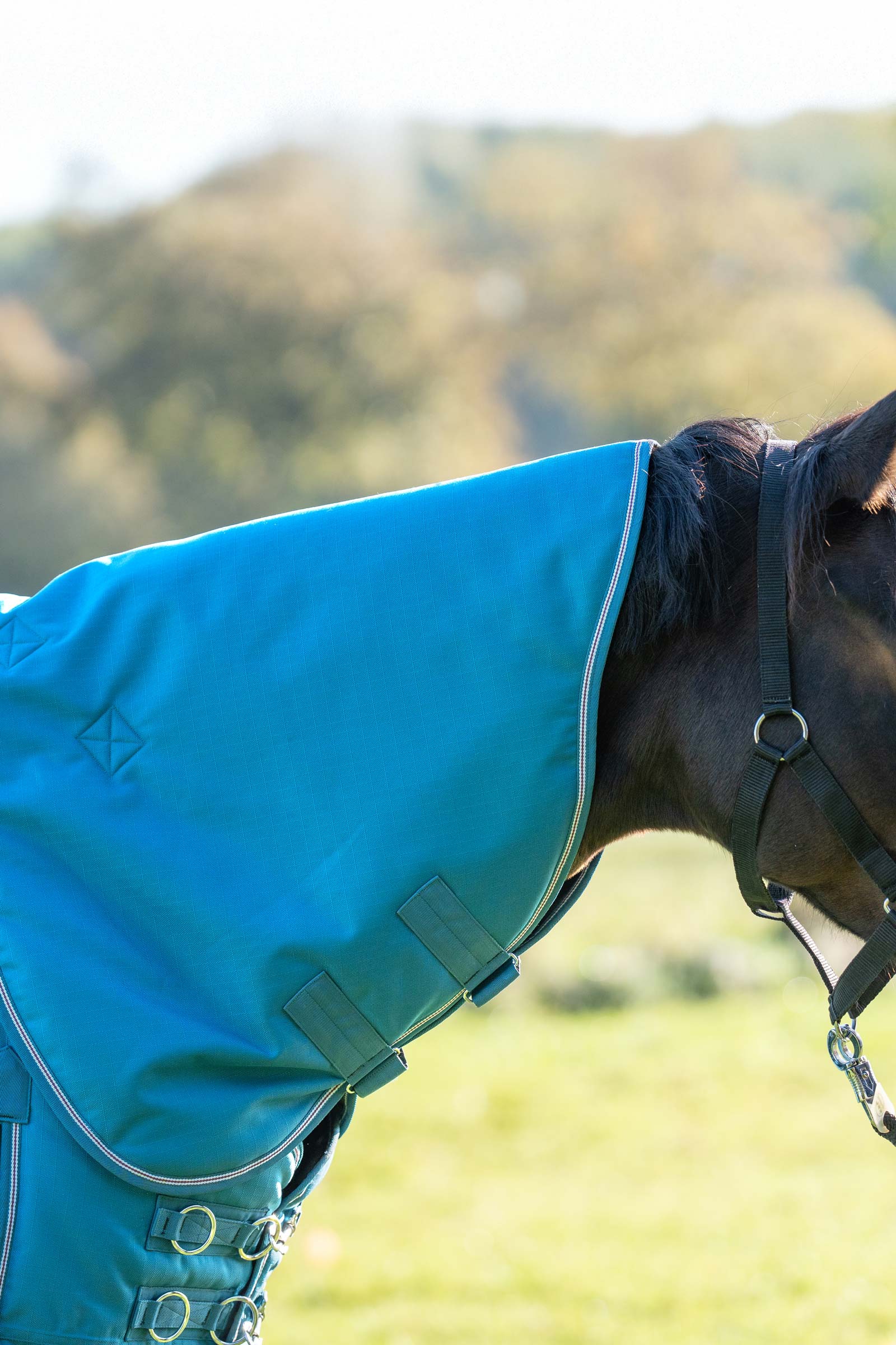 Petrol/Petrol-Bordeaux-White Kavalkade Neck for Alaska IV, 100 g