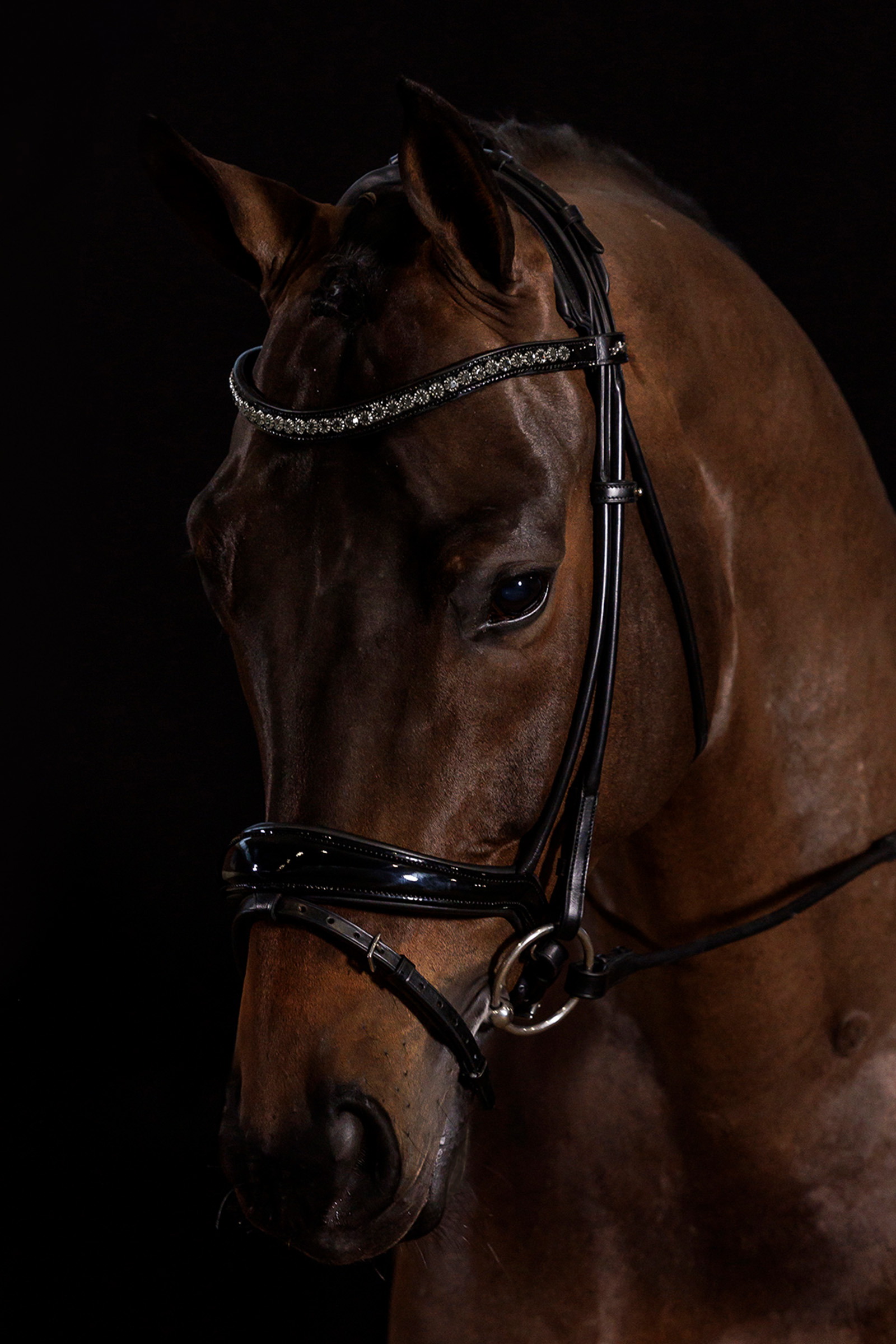 Schockem&ouml;hle Sports Westminster Bridle