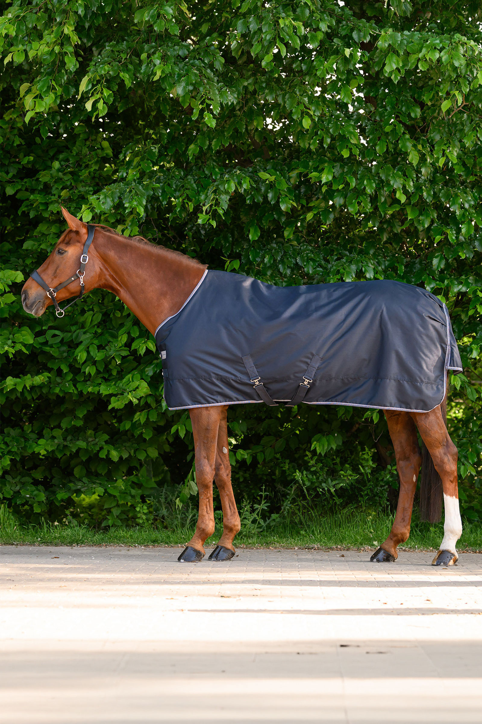 Waldhausen ECONOMIC Outdoor Rug, 200g