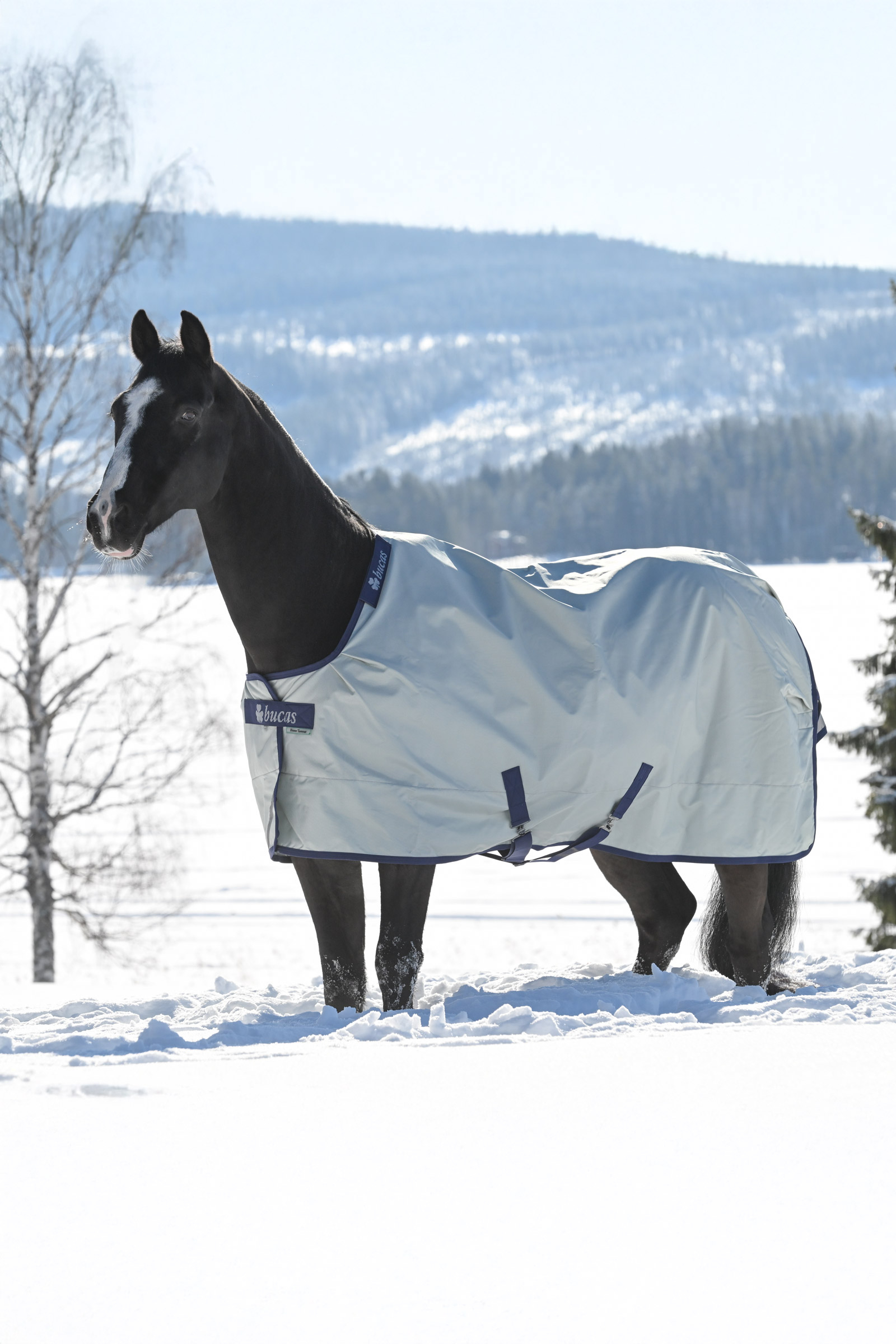 Bucas Power Extra Turnout Rug With Cooling Function, 300g