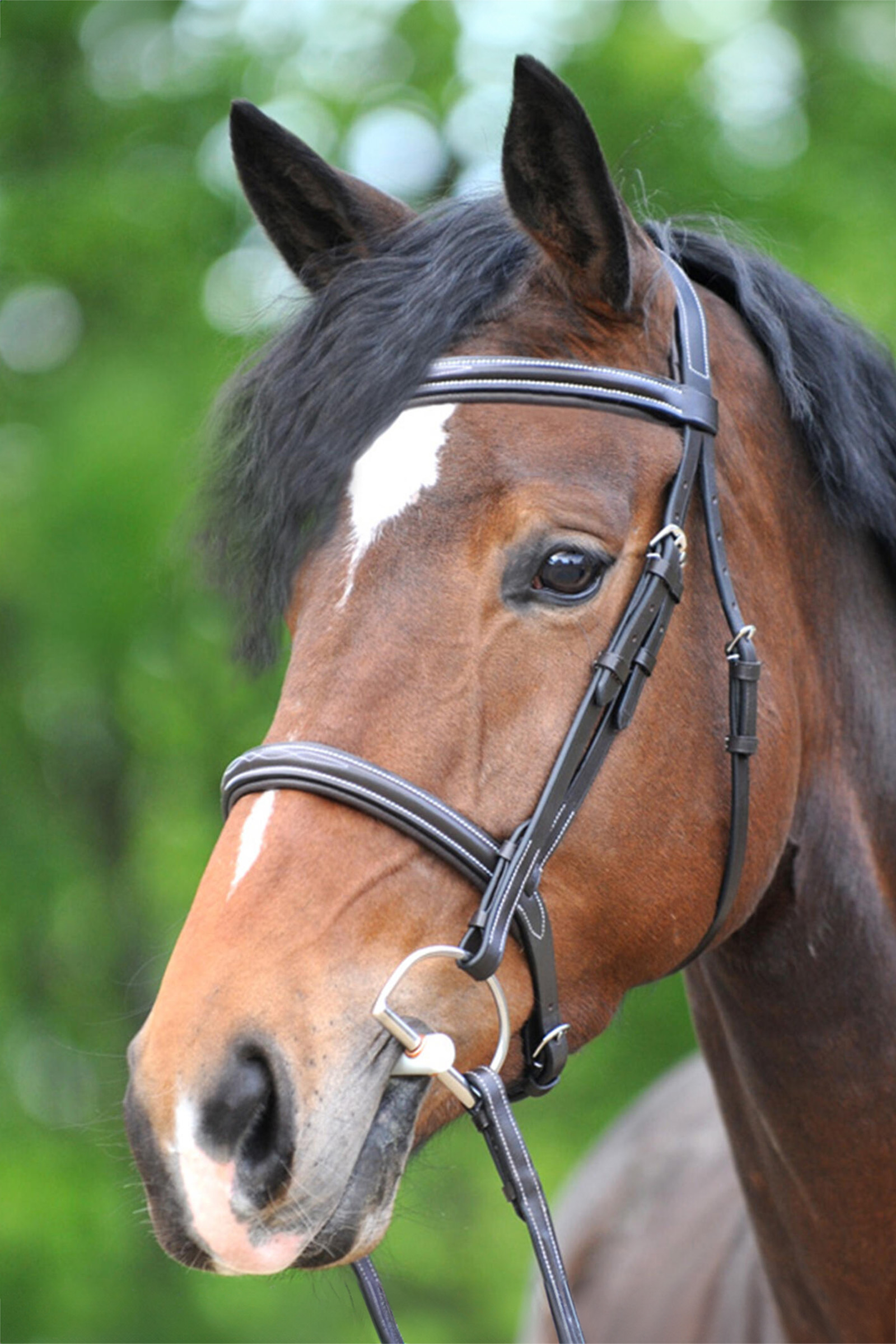 Kavalkade Akila Hunter Bridle