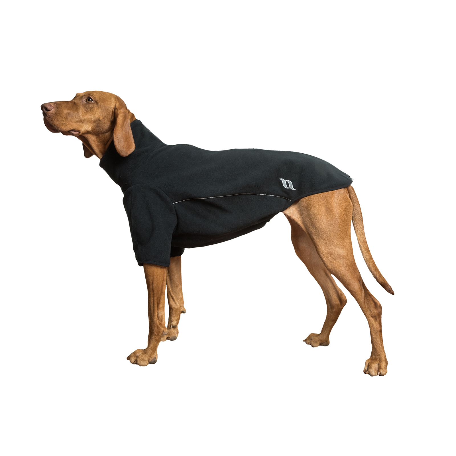 Back on Track Cassie All-Weather Jumper, 35-40cm
