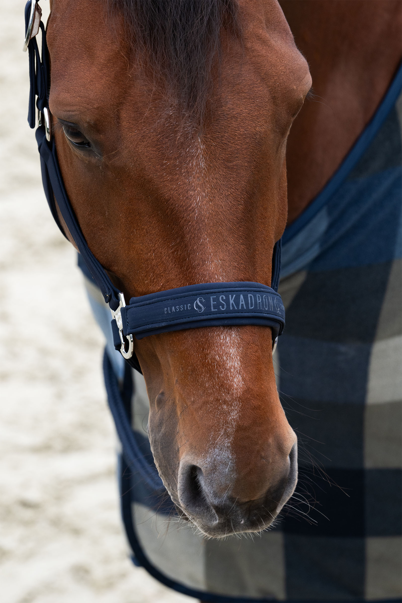 Eskadron Classic Sports SS25 Softshell Double Pin Headcollar