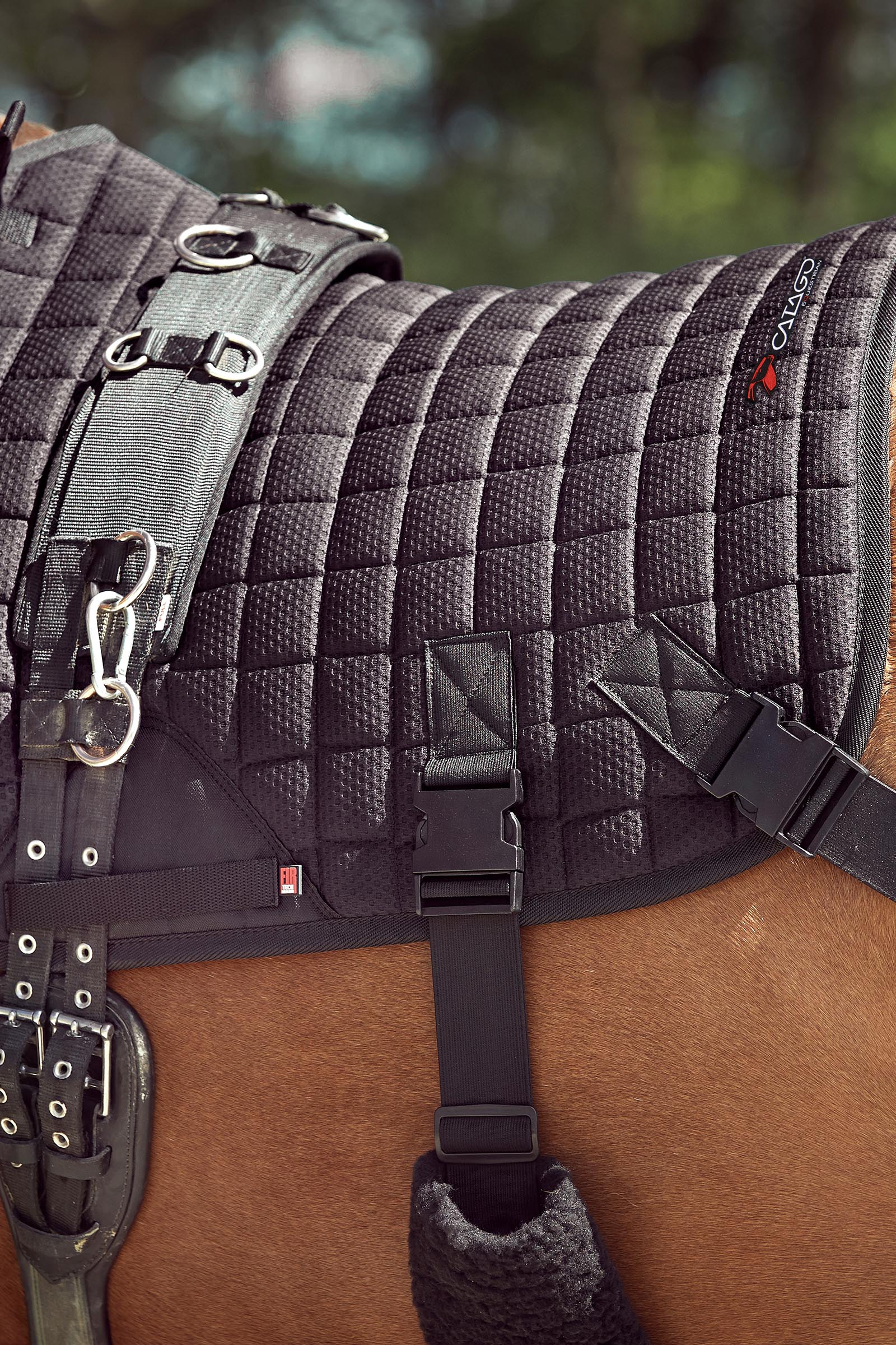 Catago FIR-Tech Training Saddle Pad With Elastic Straps