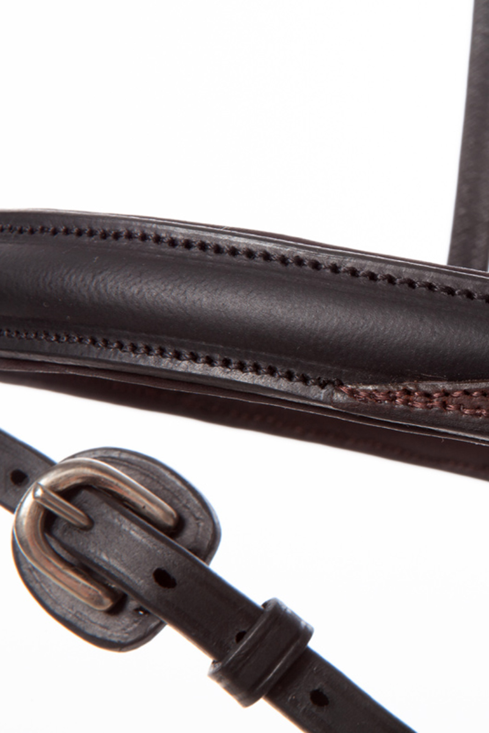 Kavalkade EveryDay Bridle