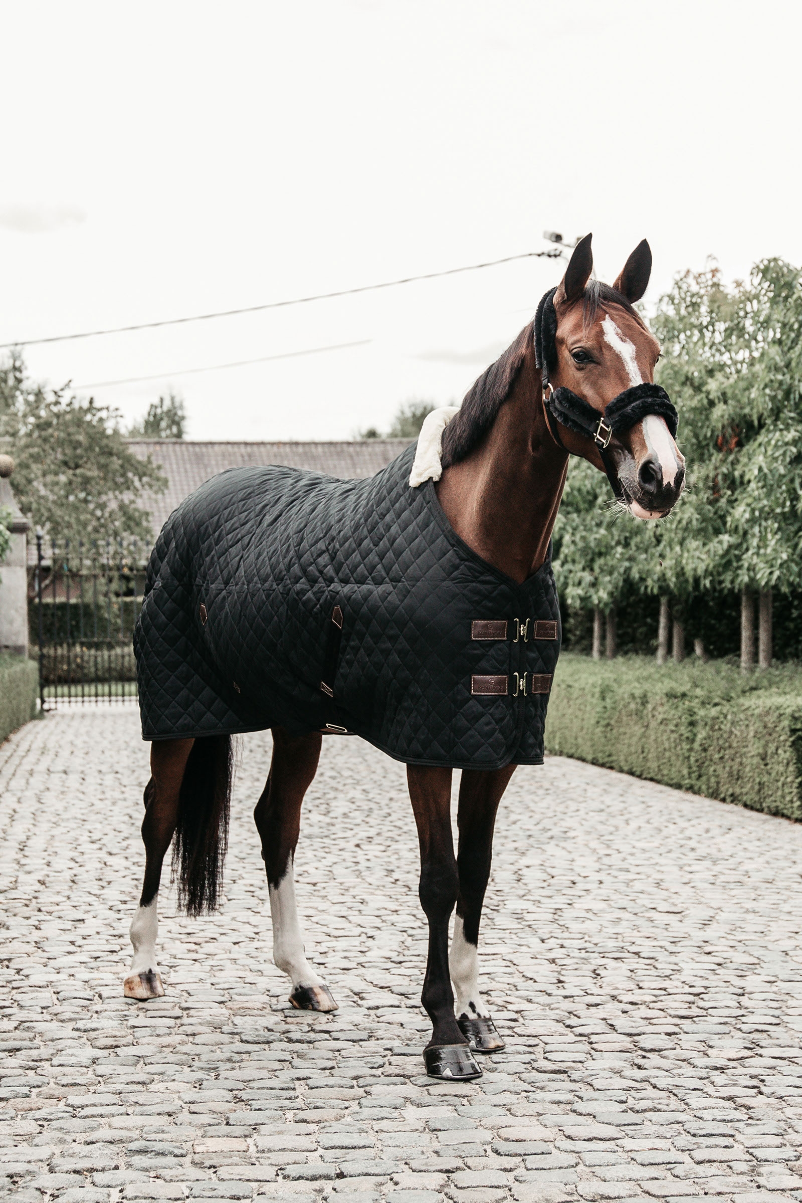 Dark Green Kentucky Horsewear Stable Rug, 400g