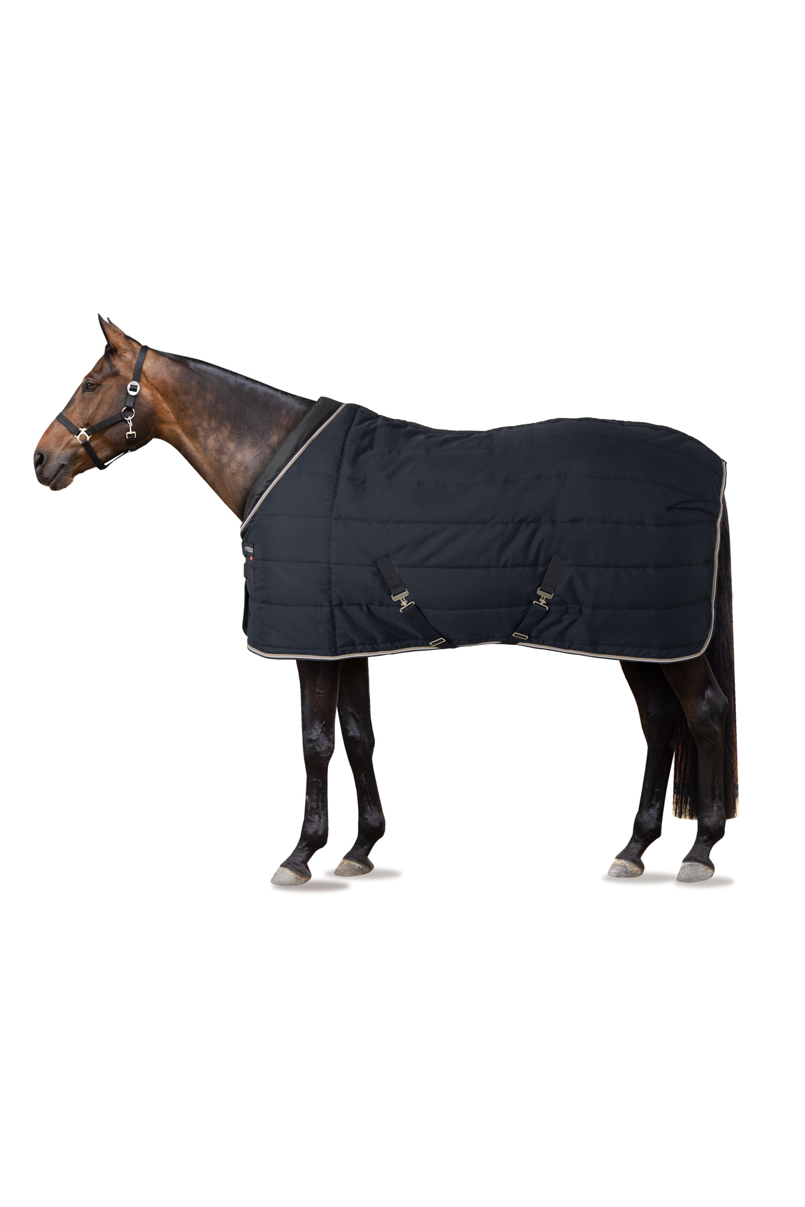 B Vertigo Tim Stable Rug, 400g