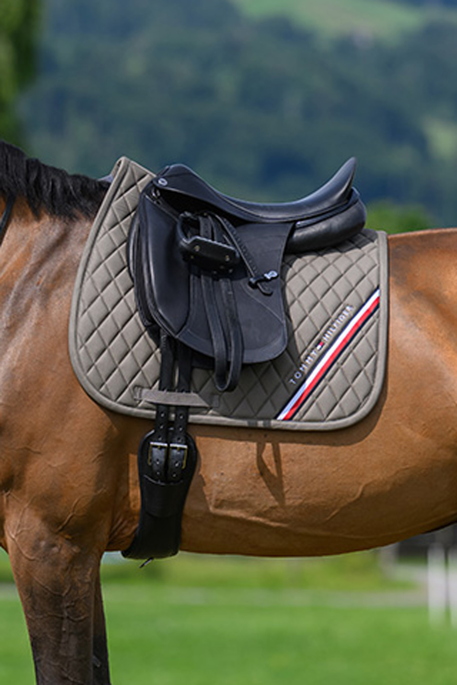 Ash Tommy Hilfiger Equestrian Stanford Dressage Saddlepad