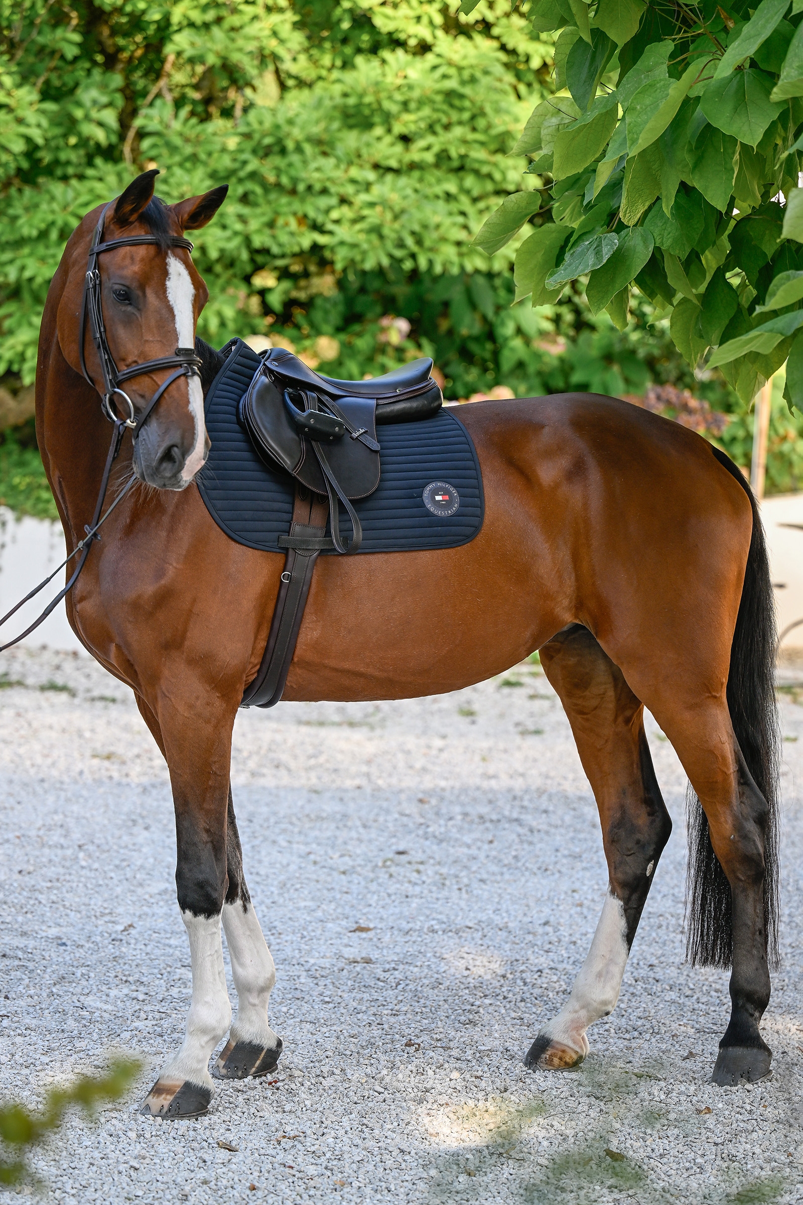 Tommy Hilfiger Equestrian Upstate Jumping Saddle Pad
