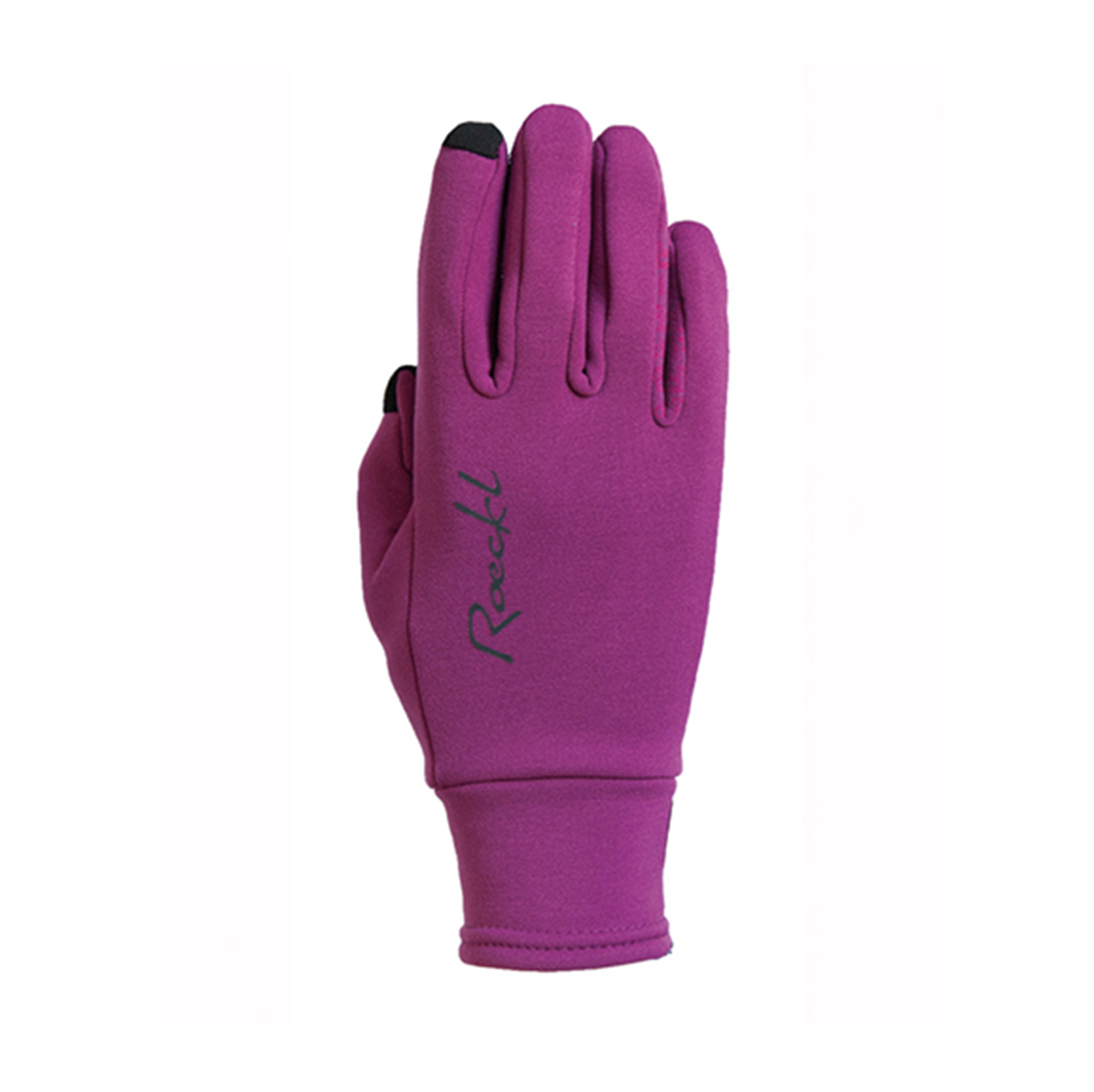 Roecl Weldon Polartec Power Stretch gloves